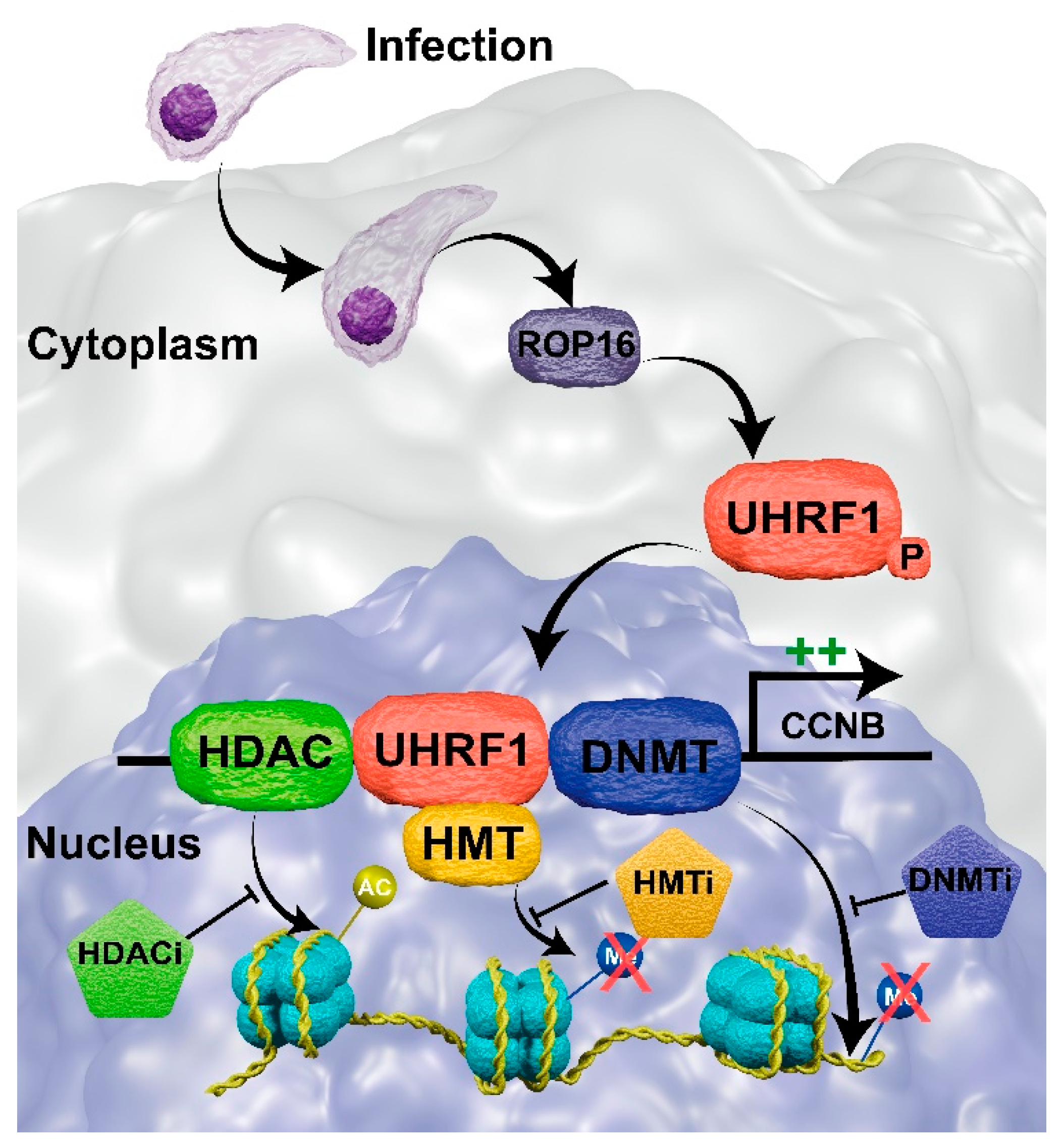 Pathogens 12 00299 g006