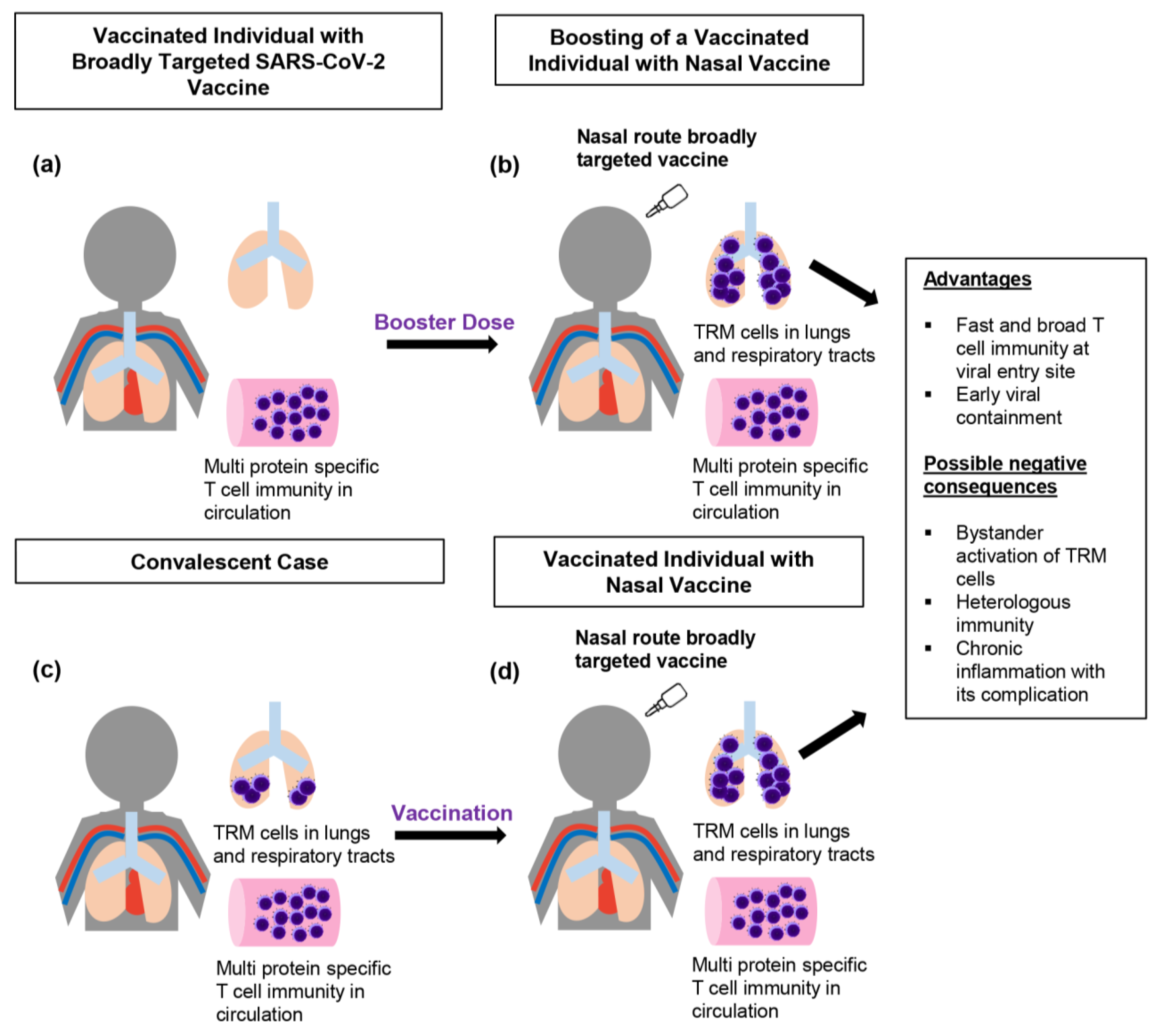 Pathogens 12 00301 g001 Pathogens 12 00301 g001