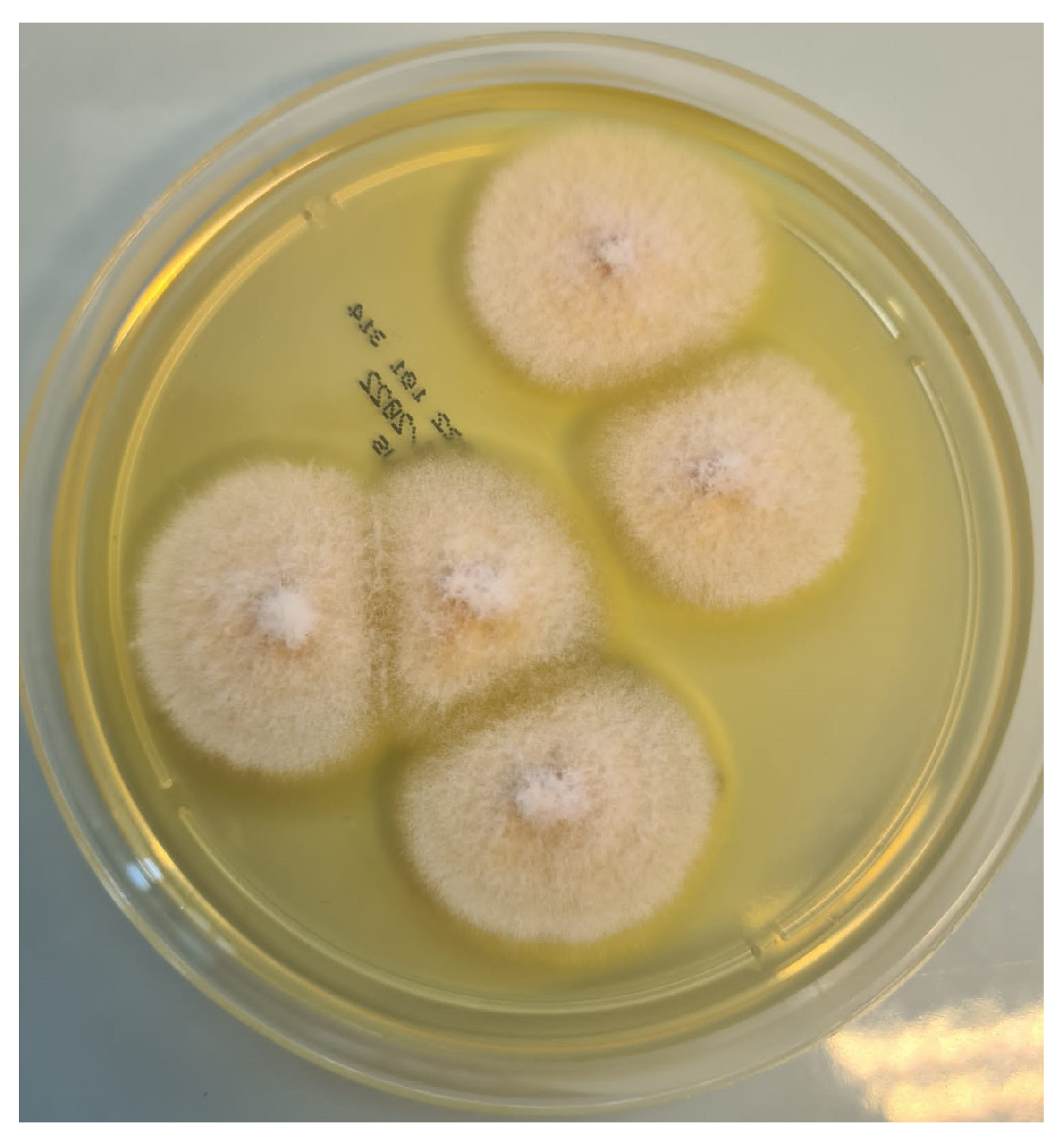 Pathogens 12 00304 g005 Pathogens 12 00304 g005