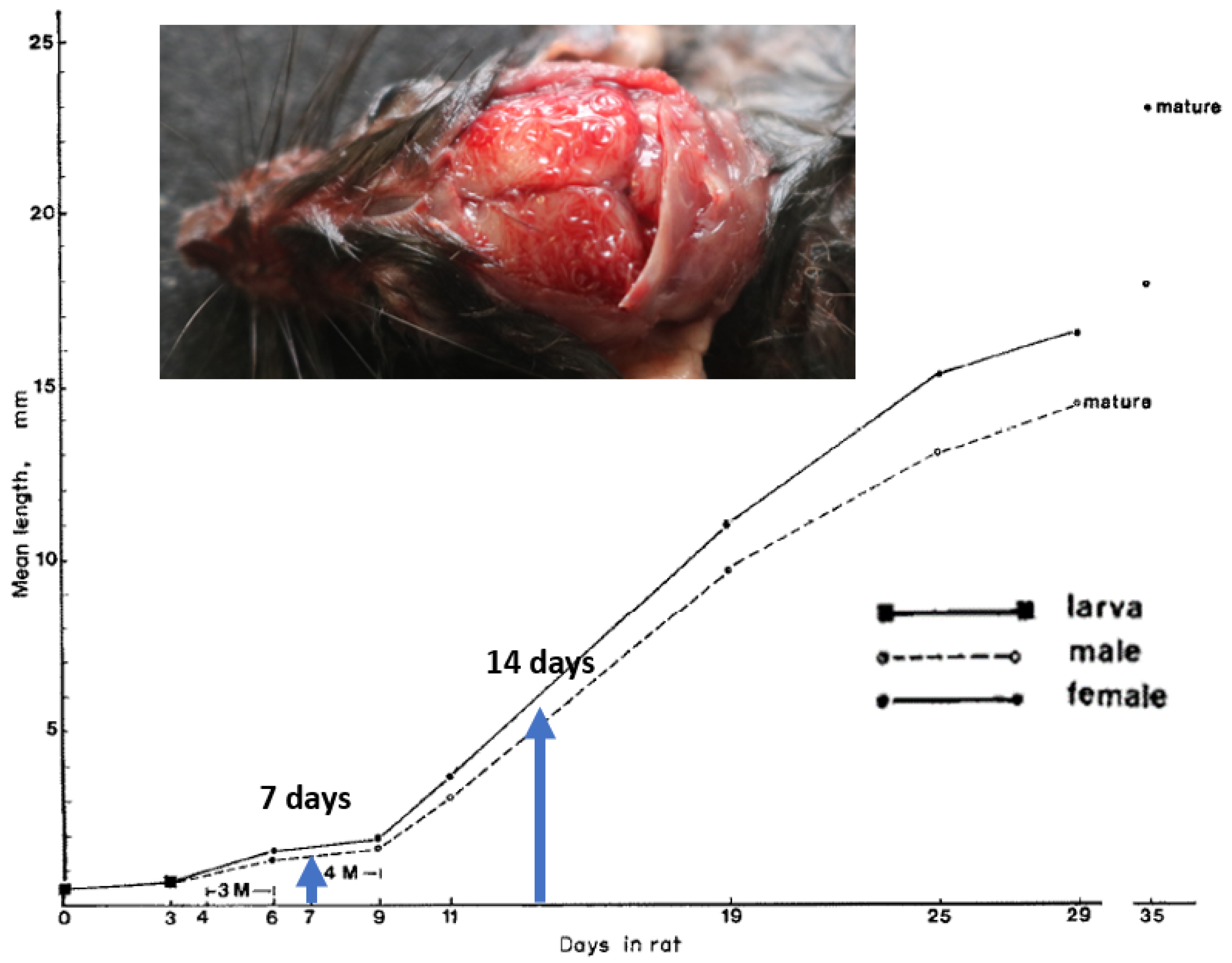 Pathogens 12 00305 g002 Pathogens 12 00305 g002