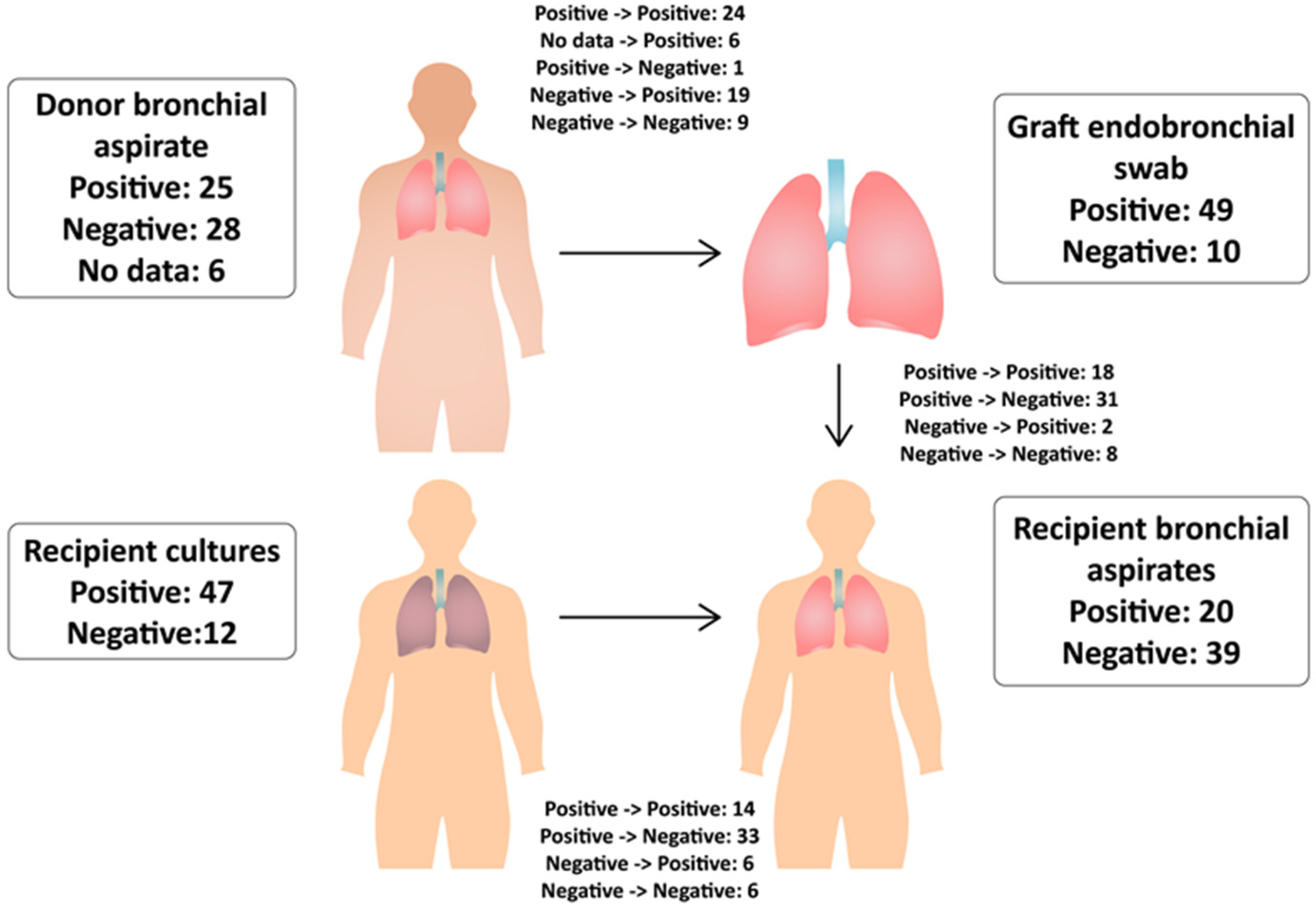 Pathogens 12 00306 g002