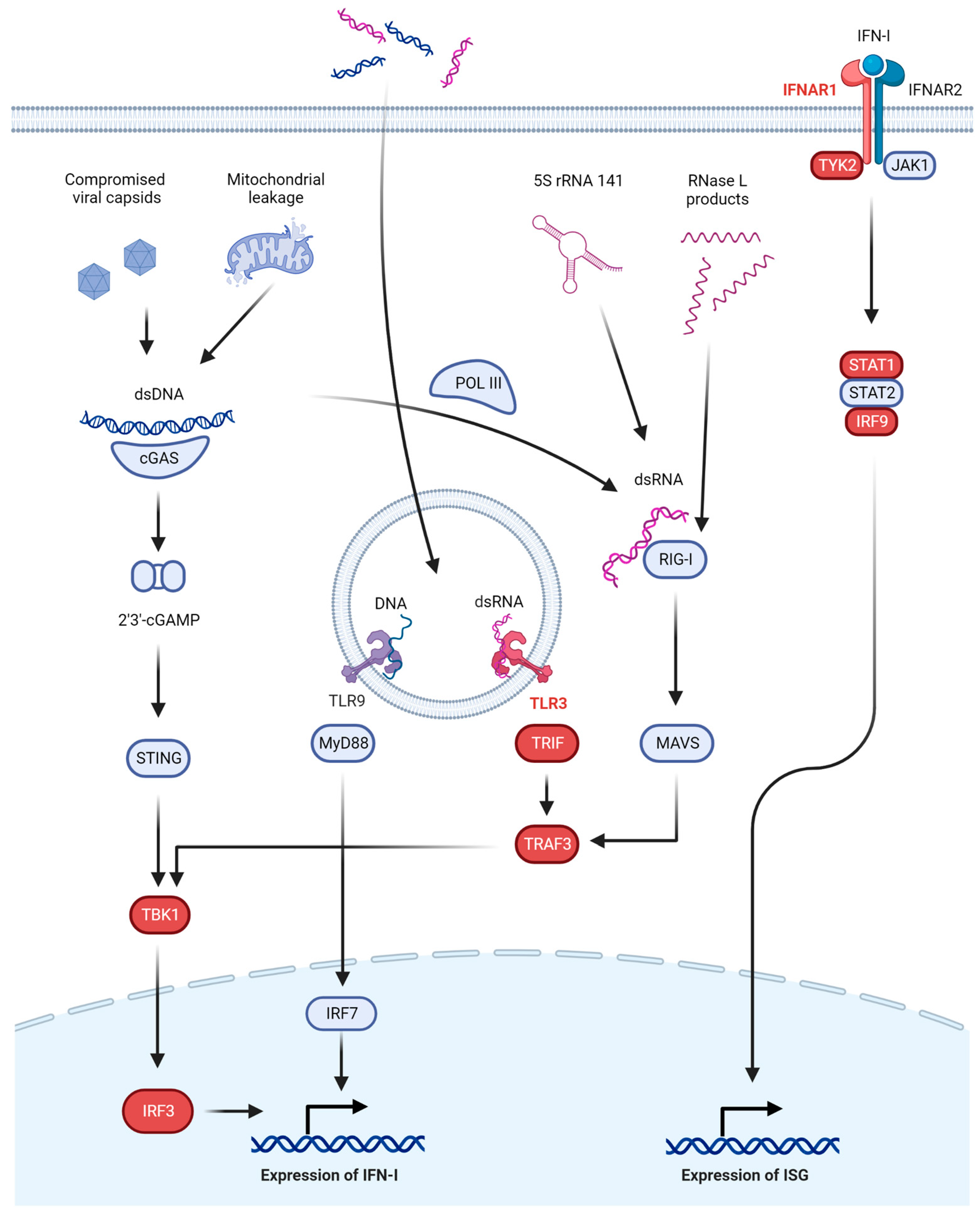 Pathogens 12 00310 g001 Pathogens 12 00310 g001