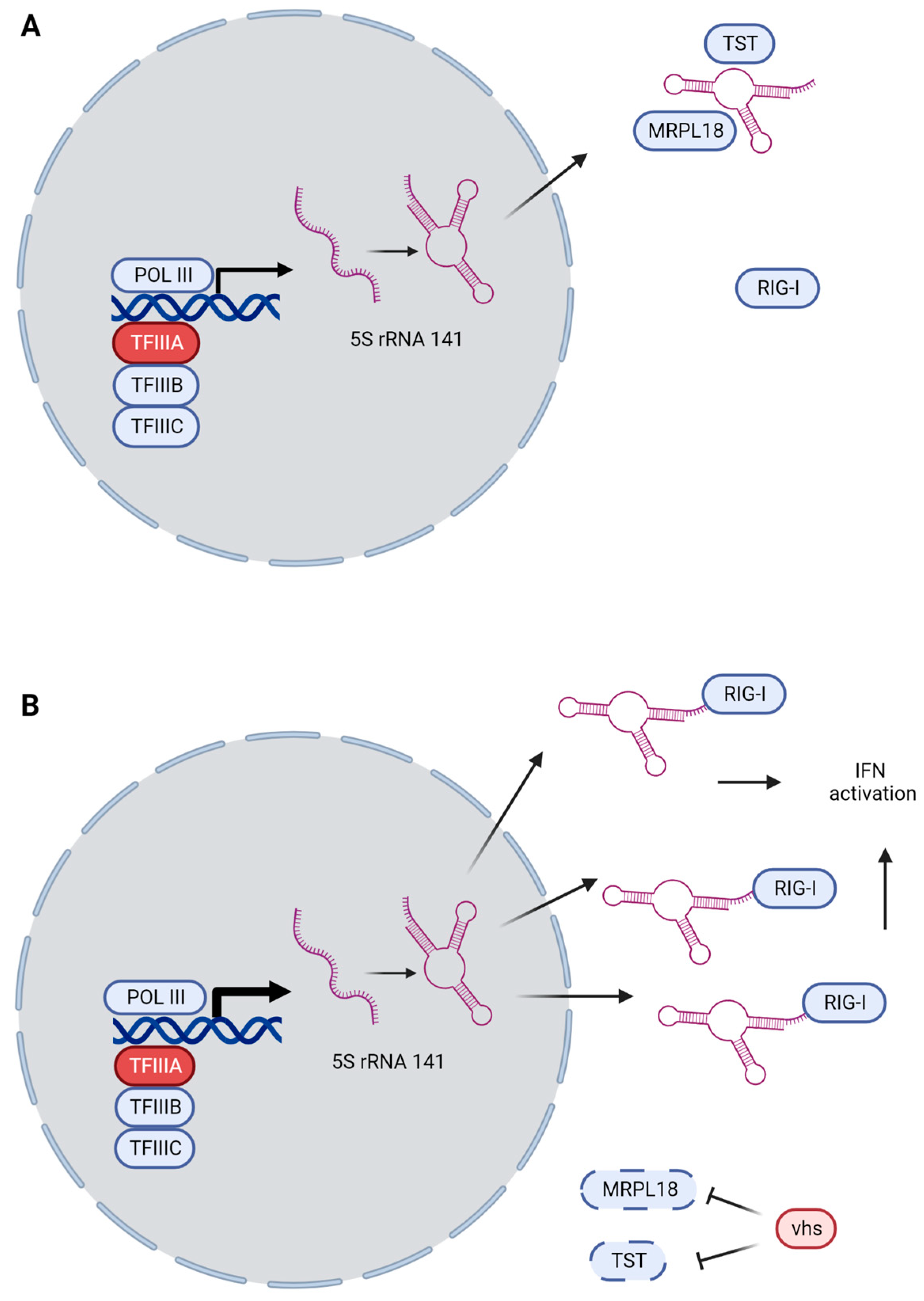 Pathogens 12 00310 g002 Pathogens 12 00310 g002