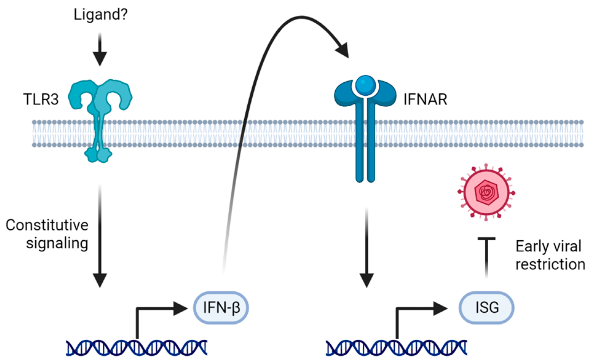 Pathogens 12 00310 g003 Pathogens 12 00310 g003