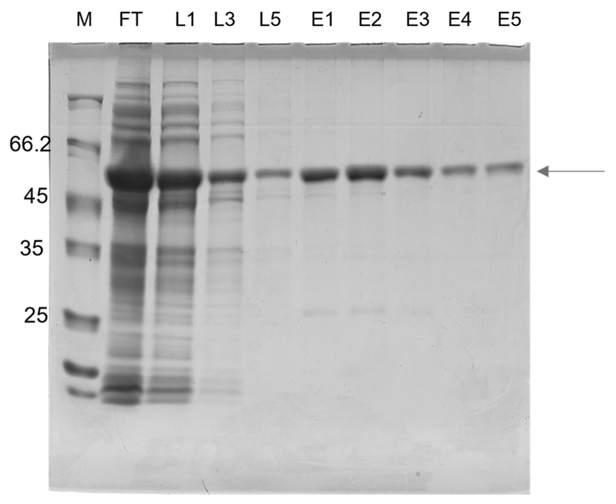 Pathogens 12 00312 g002 Pathogens 12 00312 g002