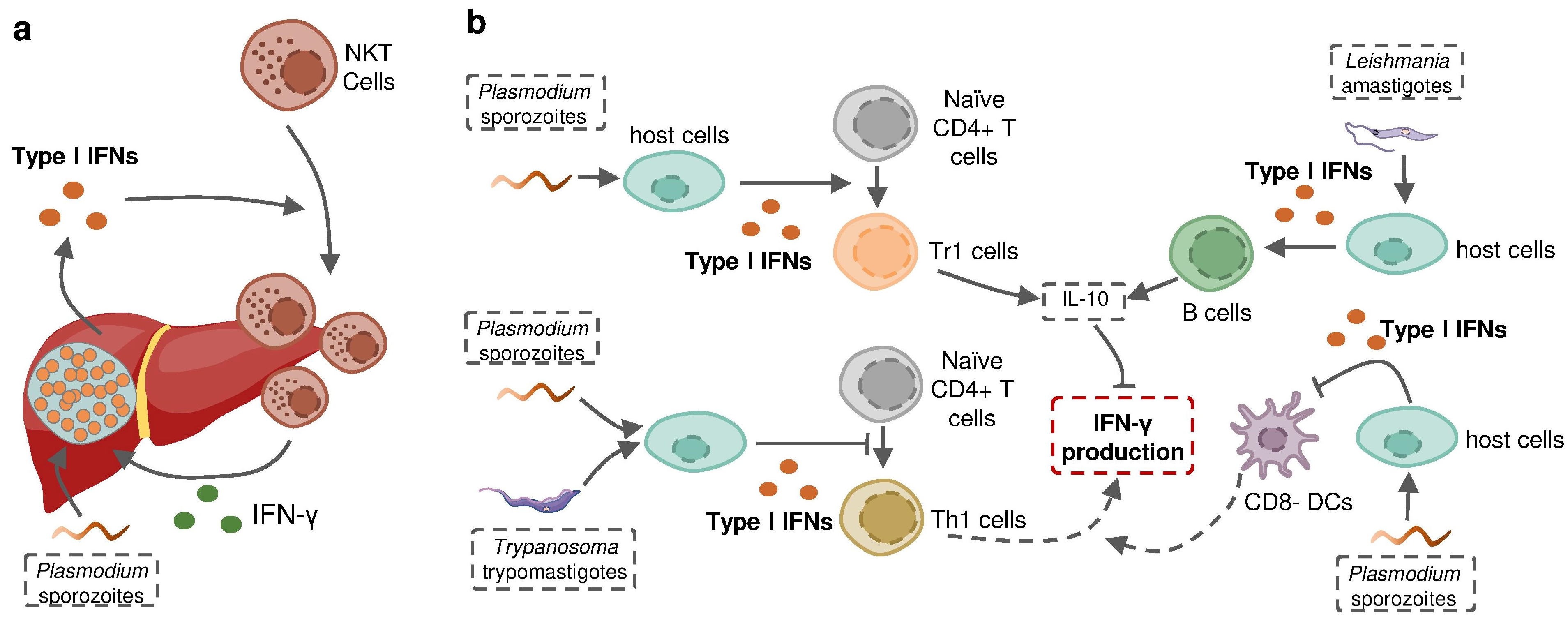 Pathogens 12 00319 g004 Pathogens 12 00319 g004