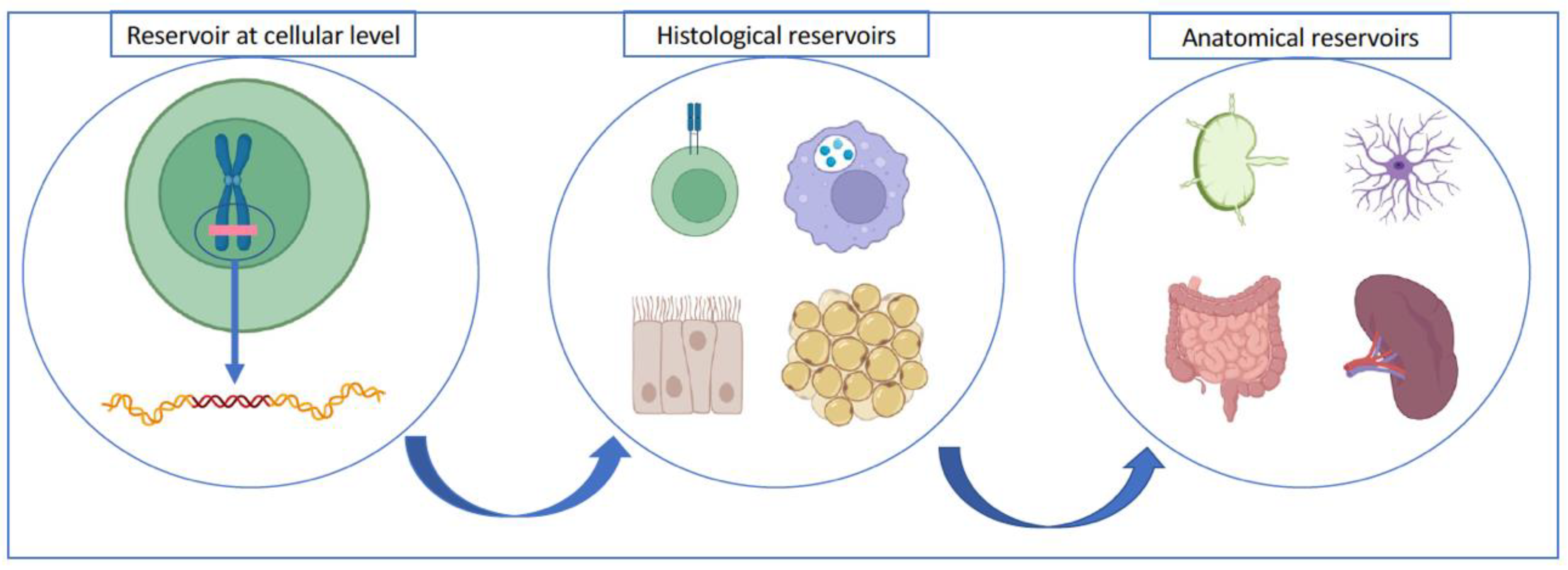 Pathogens 12 00322 g001 Pathogens 12 00322 g001