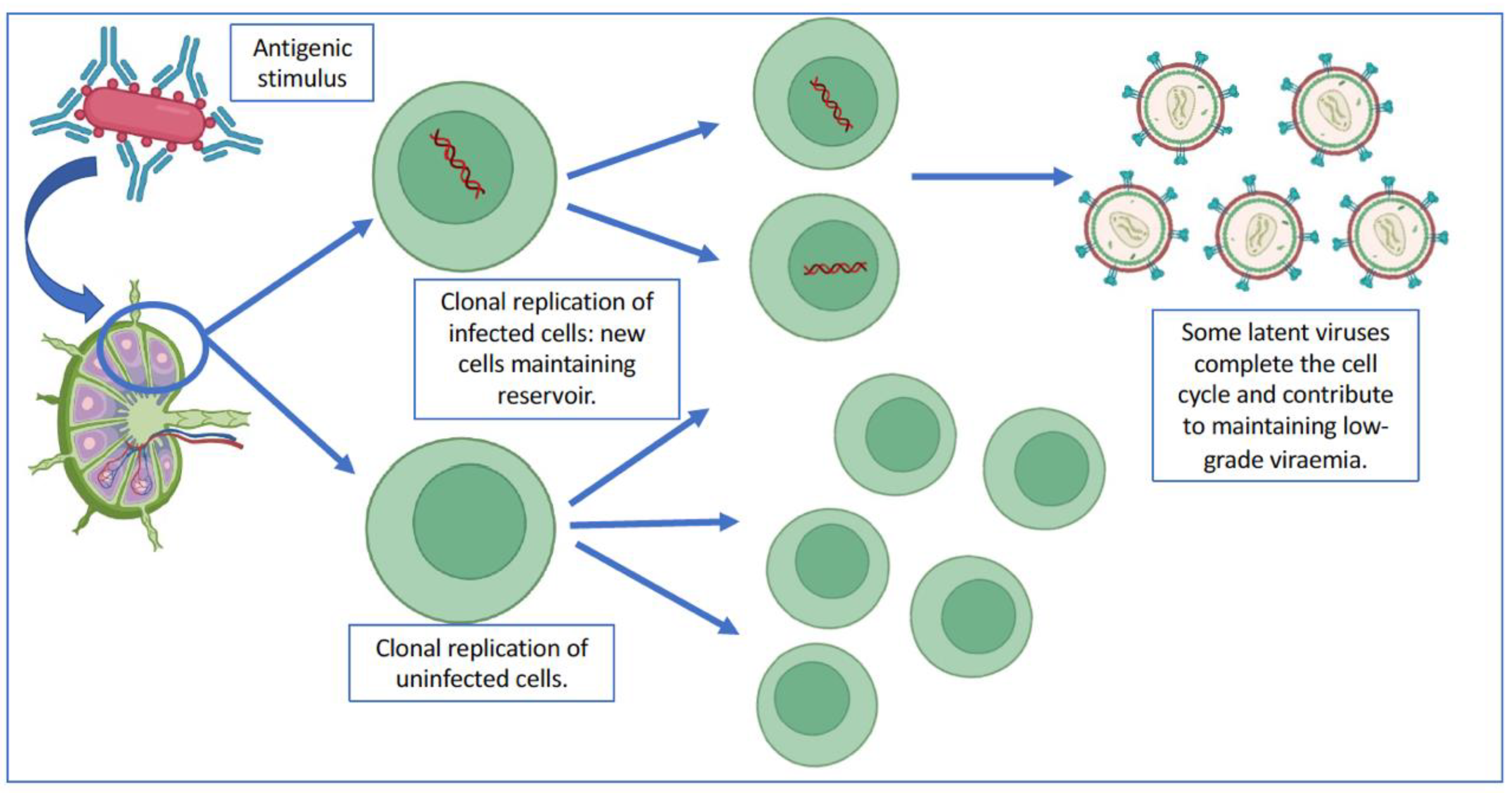 Pathogens 12 00322 g002 Pathogens 12 00322 g002