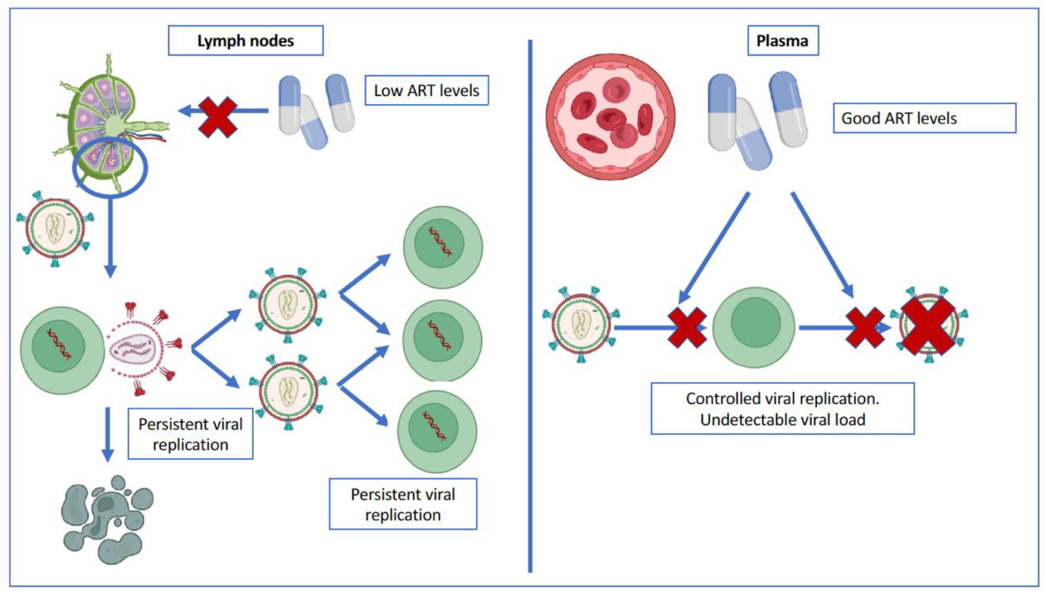 Pathogens 12 00322 g003 Pathogens 12 00322 g003