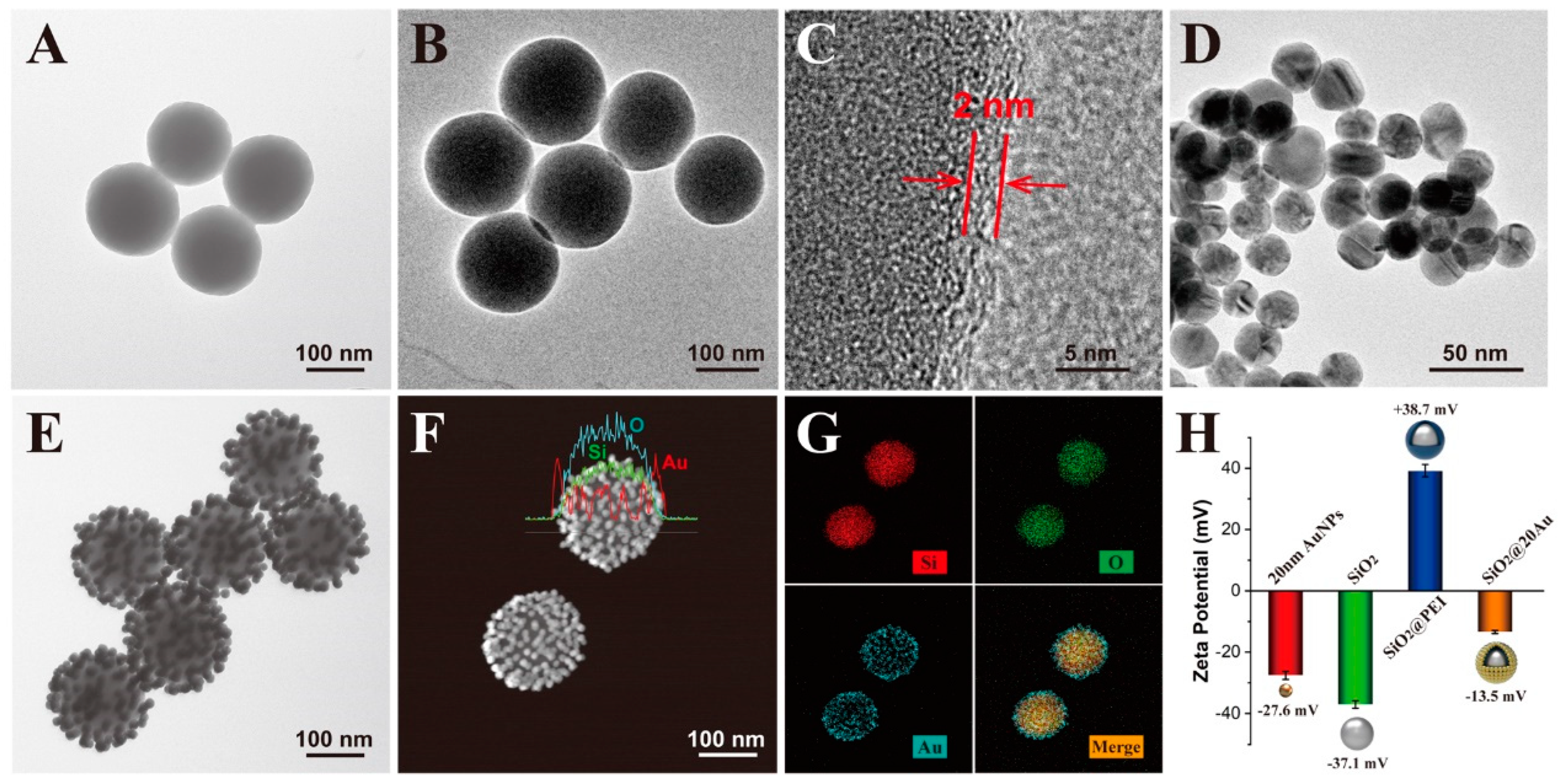 Pathogens 12 00327 g001