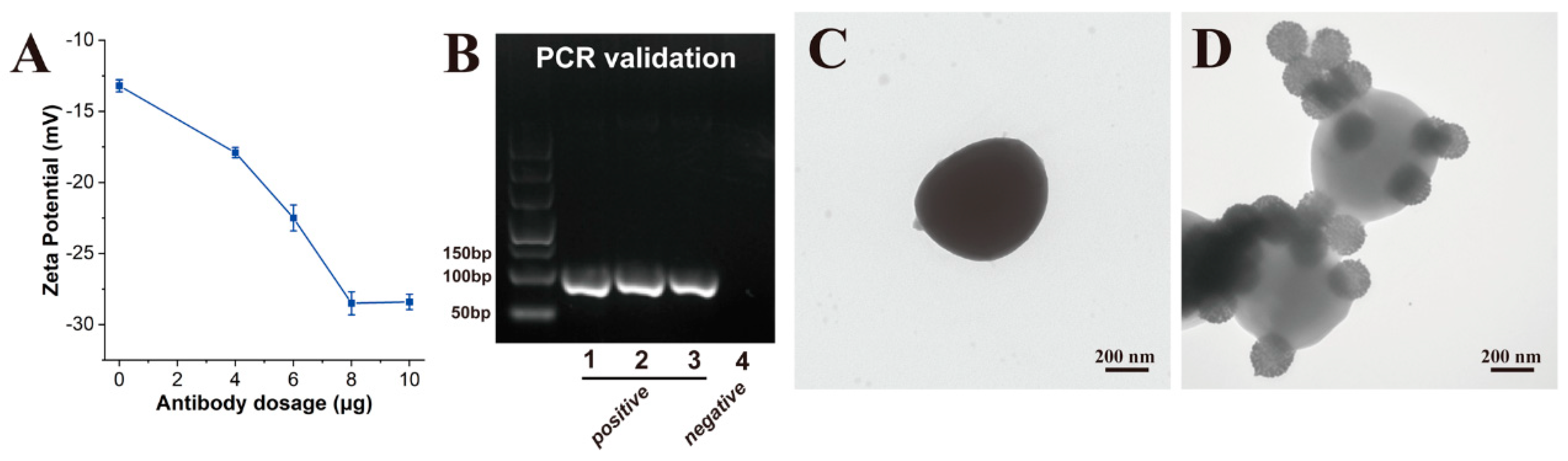 Pathogens 12 00327 g003