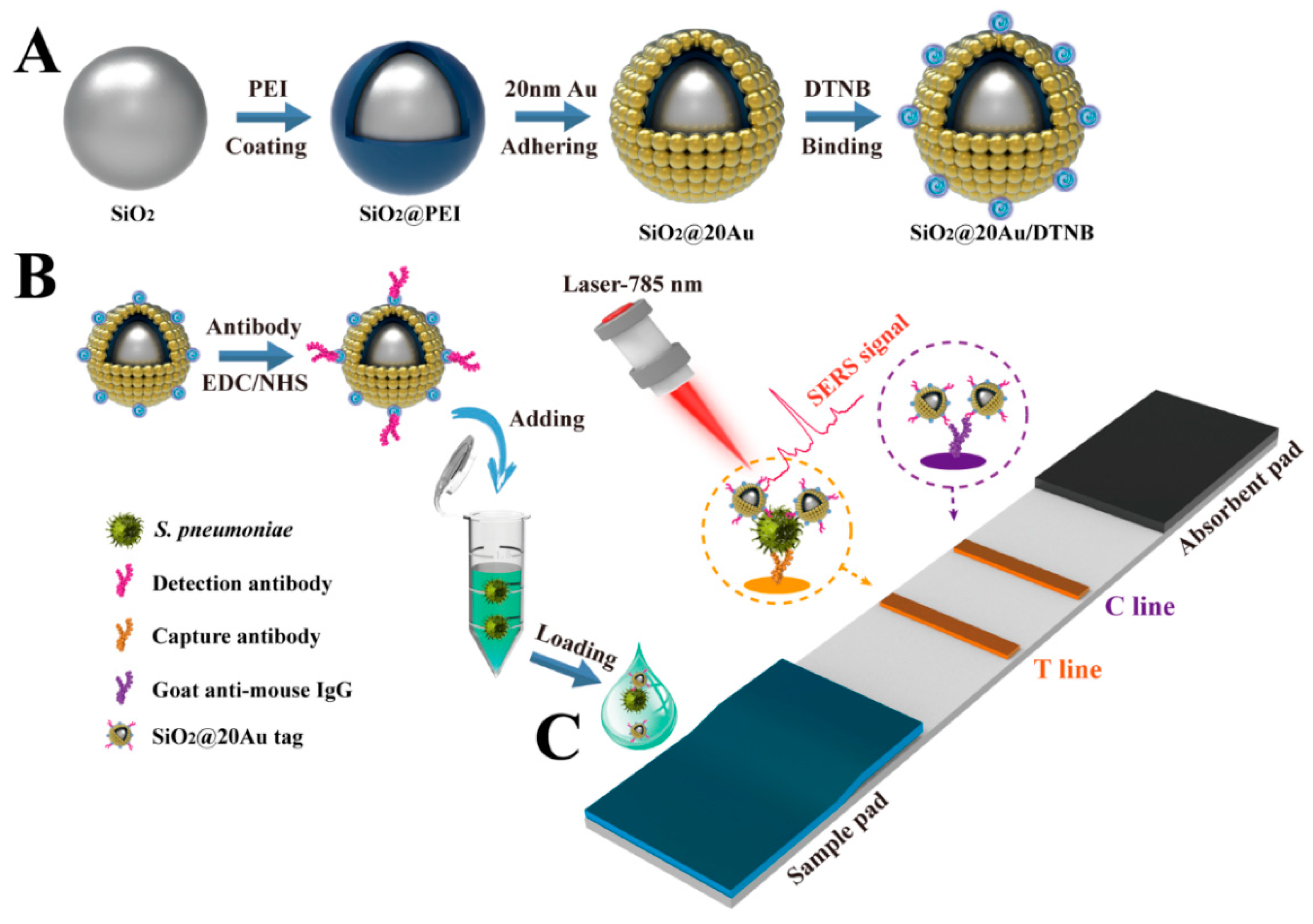 Pathogens 12 00327 sch001