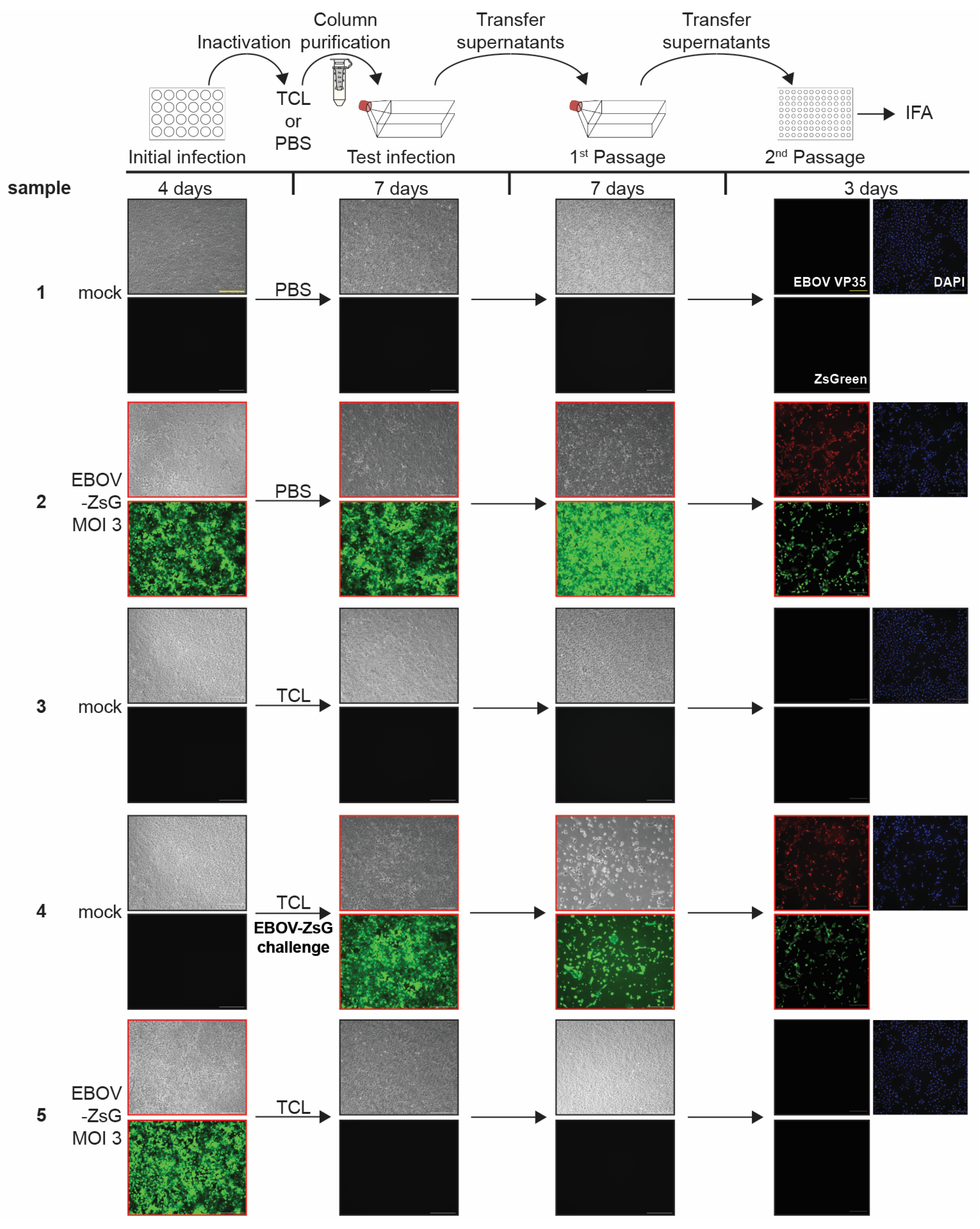 Pathogens 12 00342 g001 Pathogens 12 00342 g001