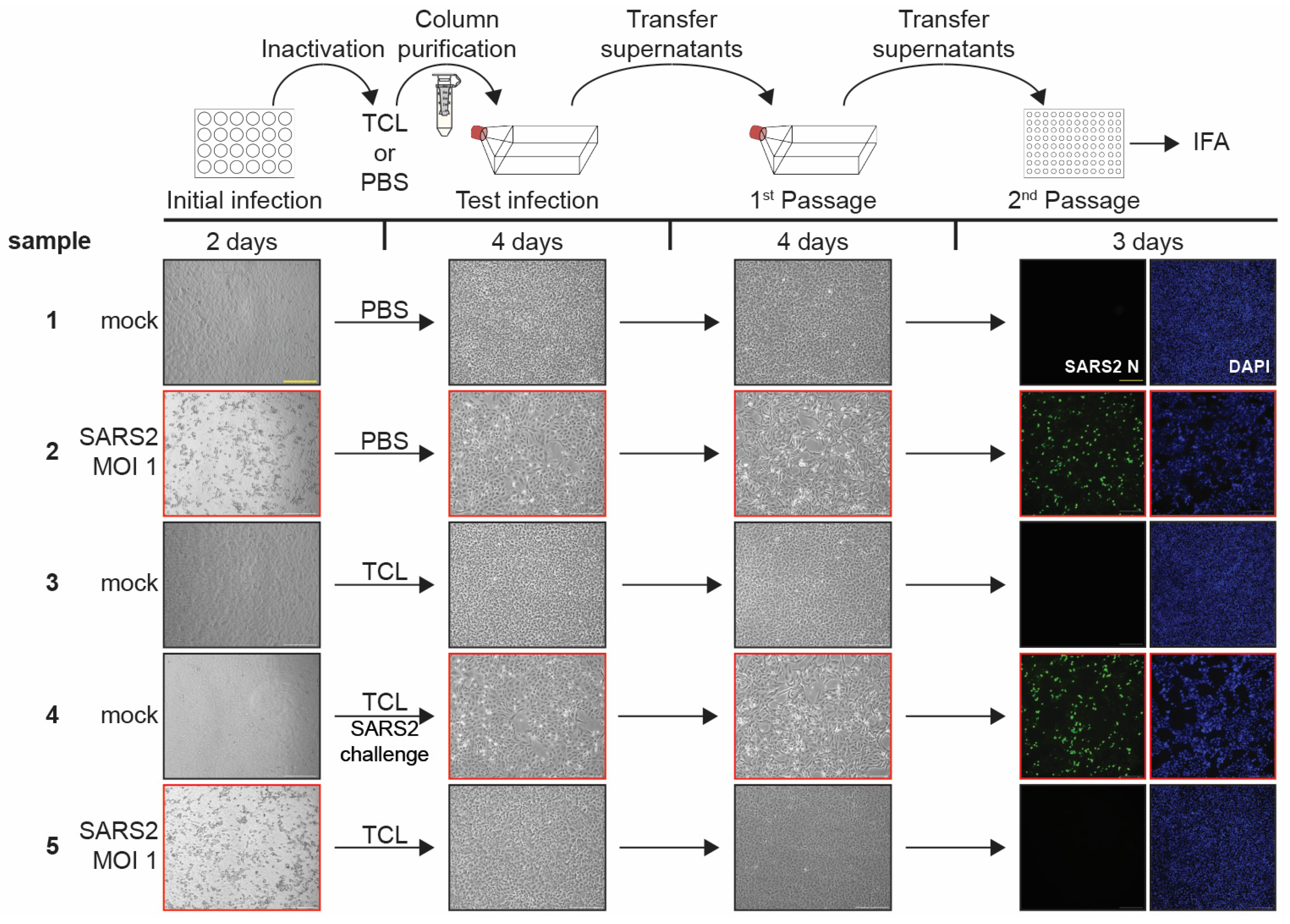Pathogens 12 00342 g002 Pathogens 12 00342 g002