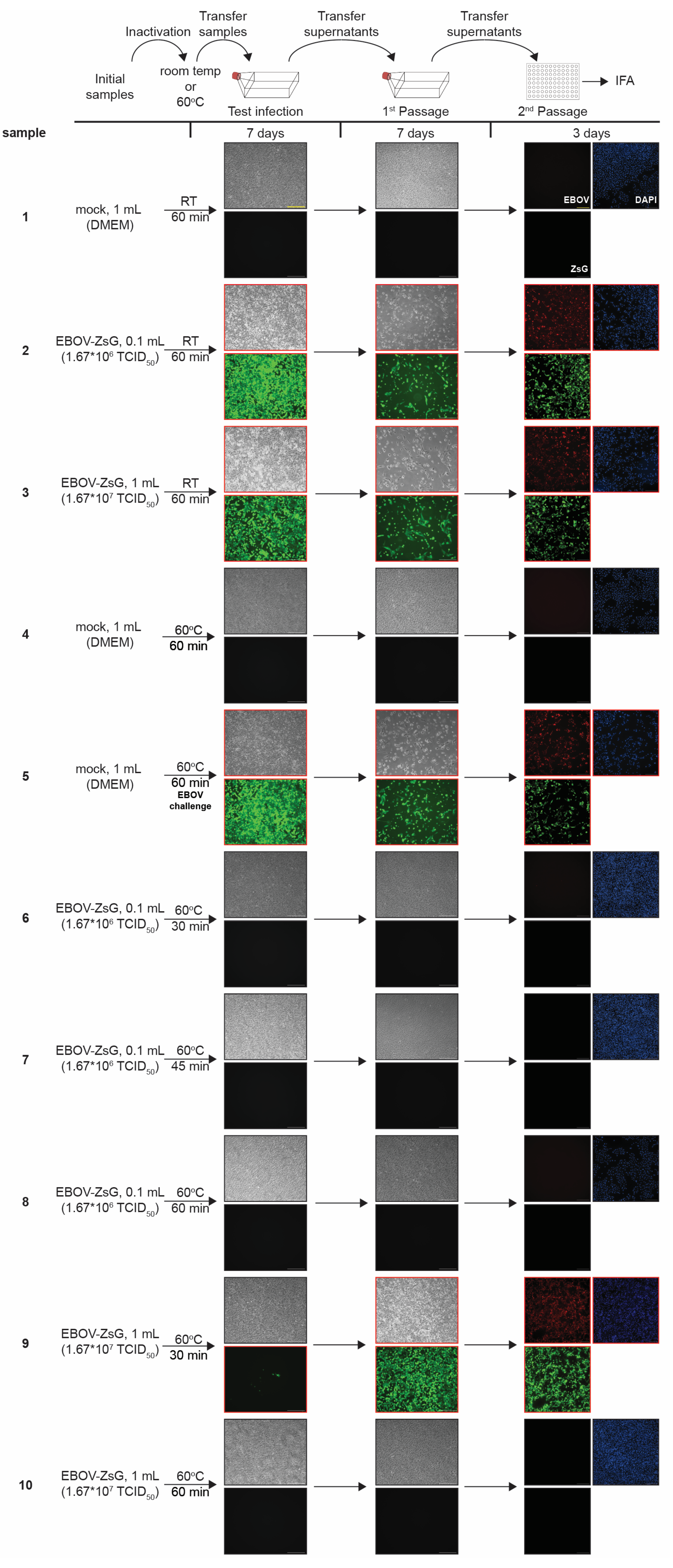 Pathogens 12 00342 g003 Pathogens 12 00342 g003