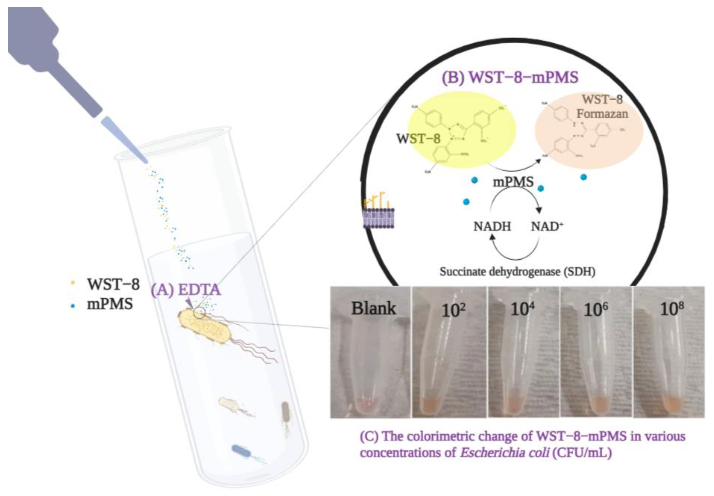 Pathogens 12 00343 g001 Pathogens 12 00343 g001