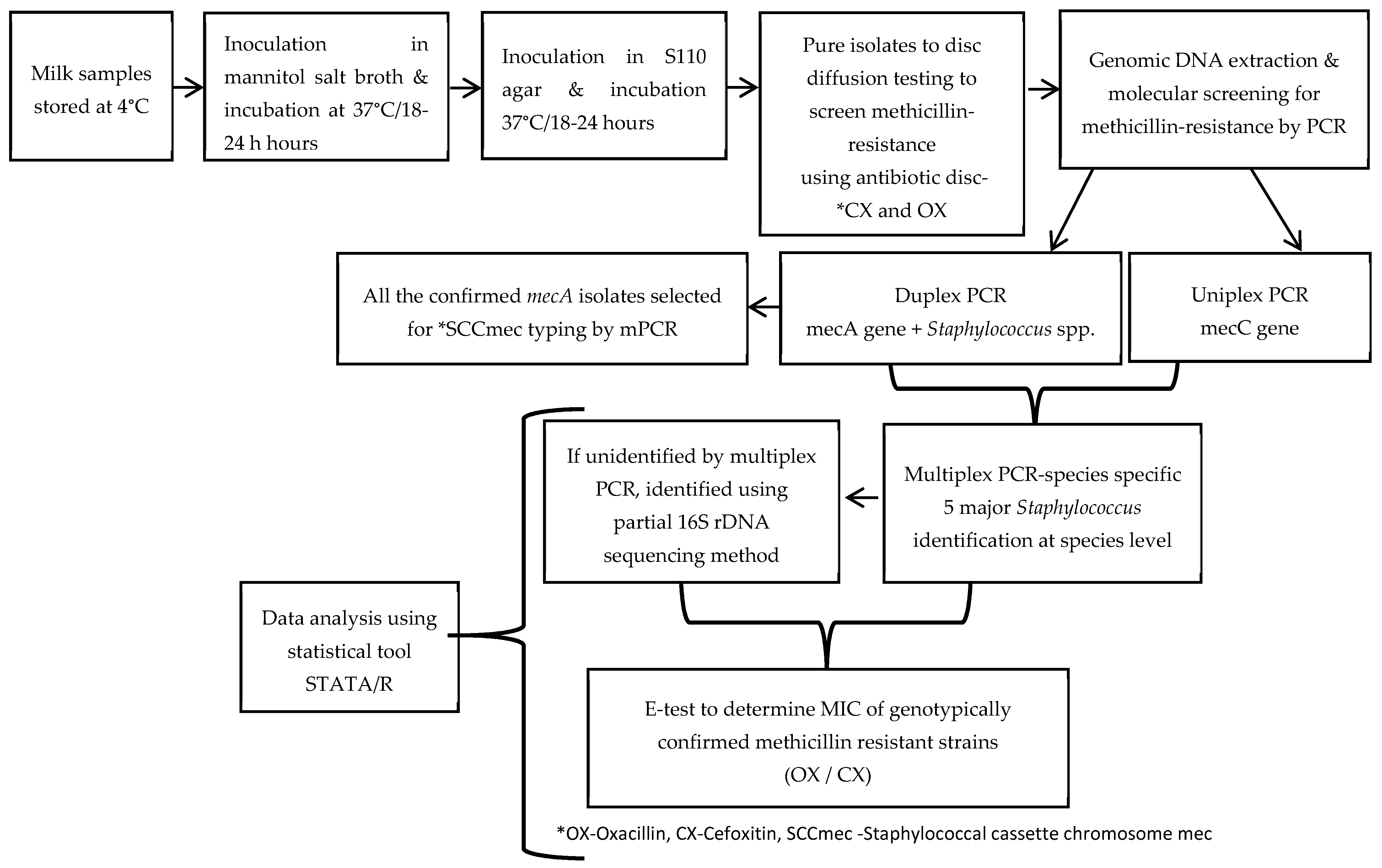Pathogens 12 00344 g002