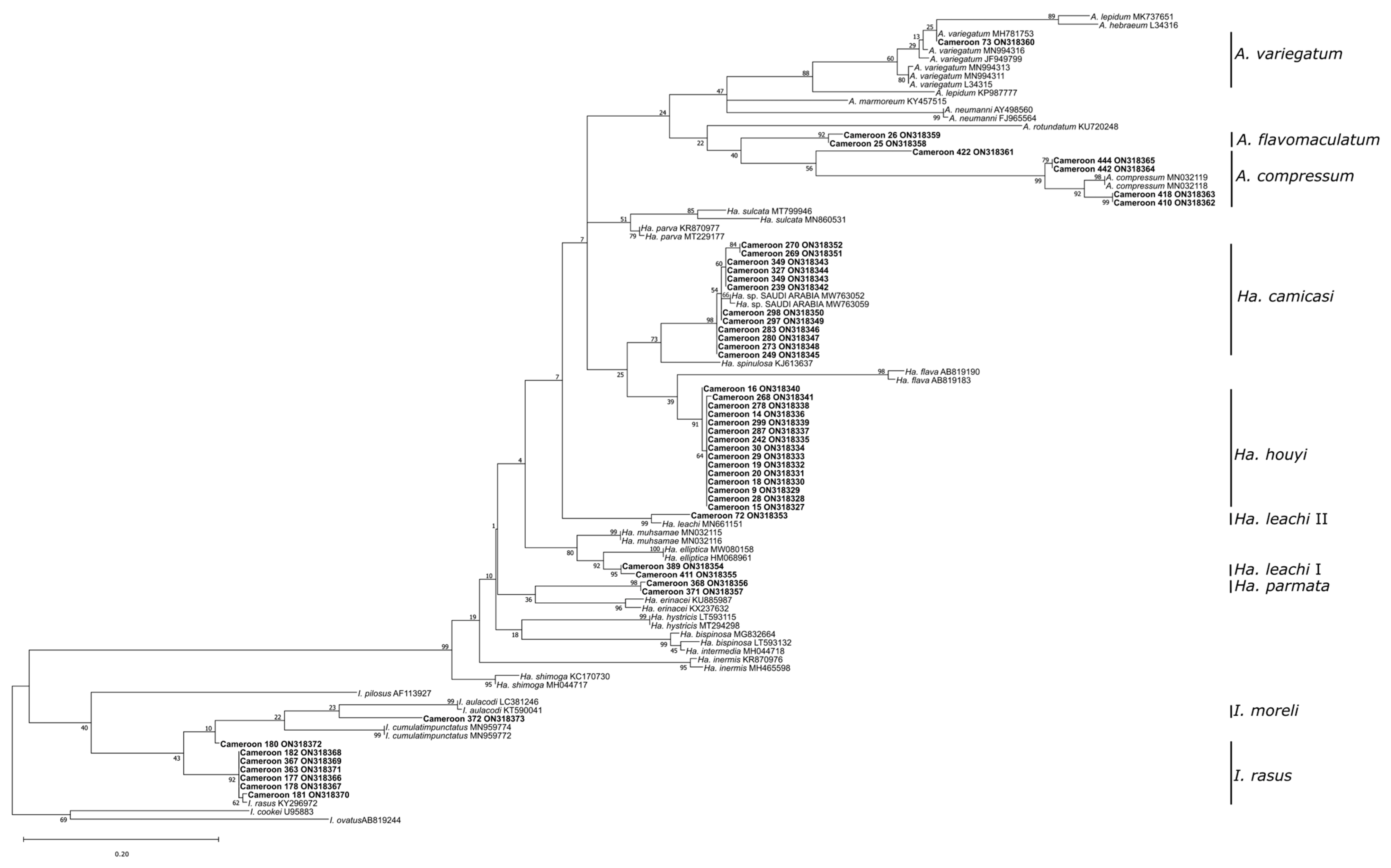 Pathogens 12 00348 g002 Pathogens 12 00348 g002