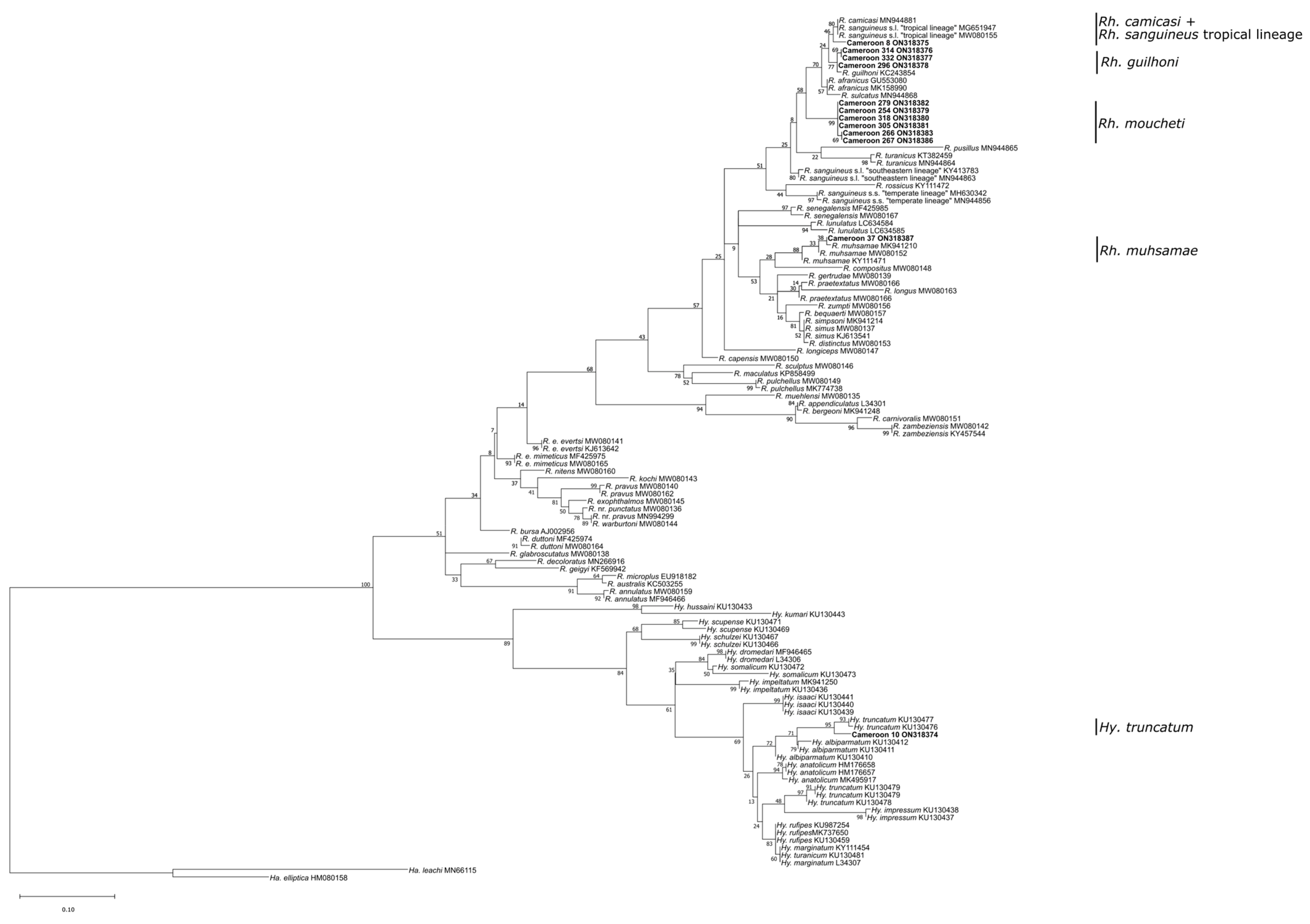 Pathogens 12 00348 g003 Pathogens 12 00348 g003
