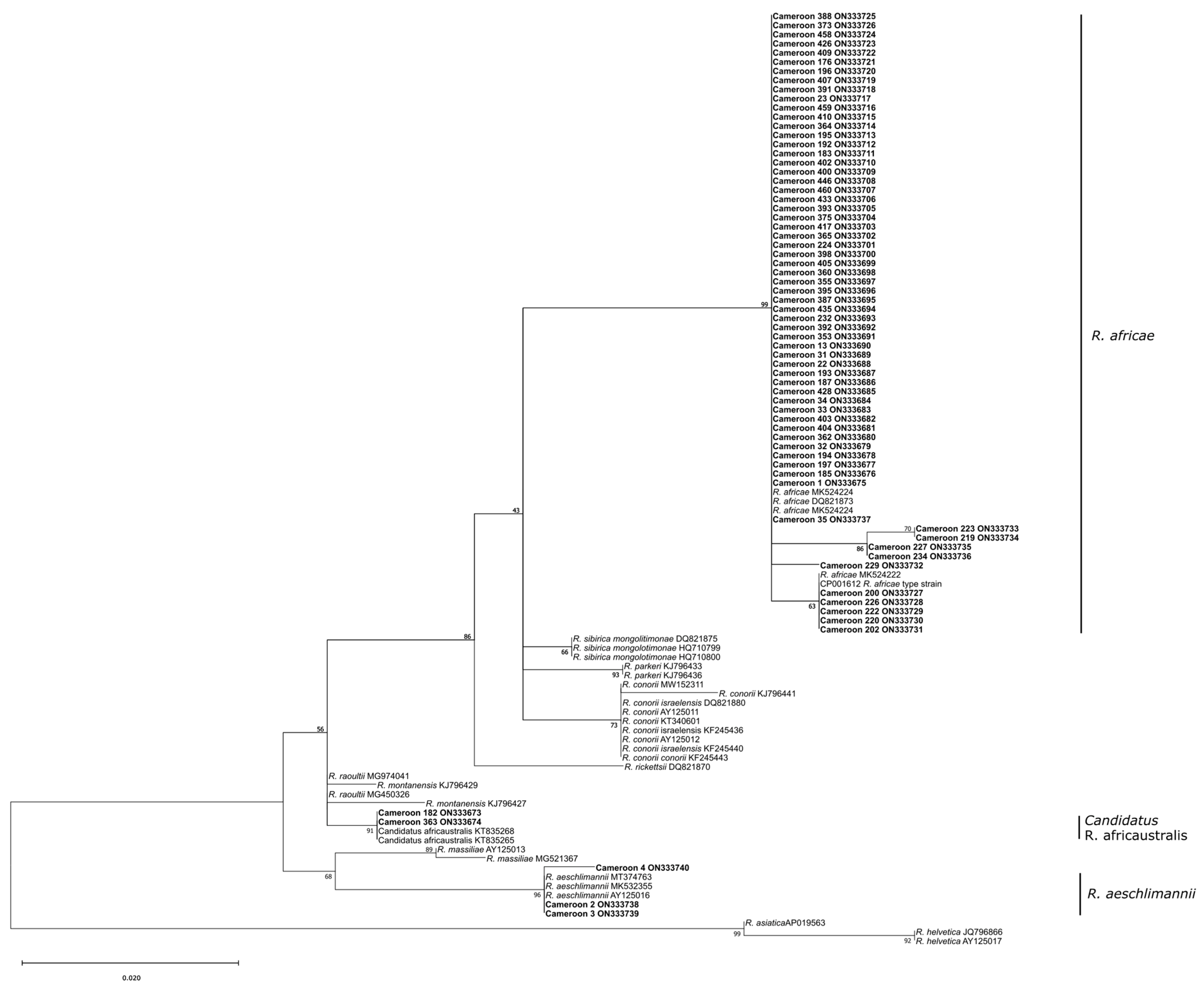 Pathogens 12 00348 g004 Pathogens 12 00348 g004