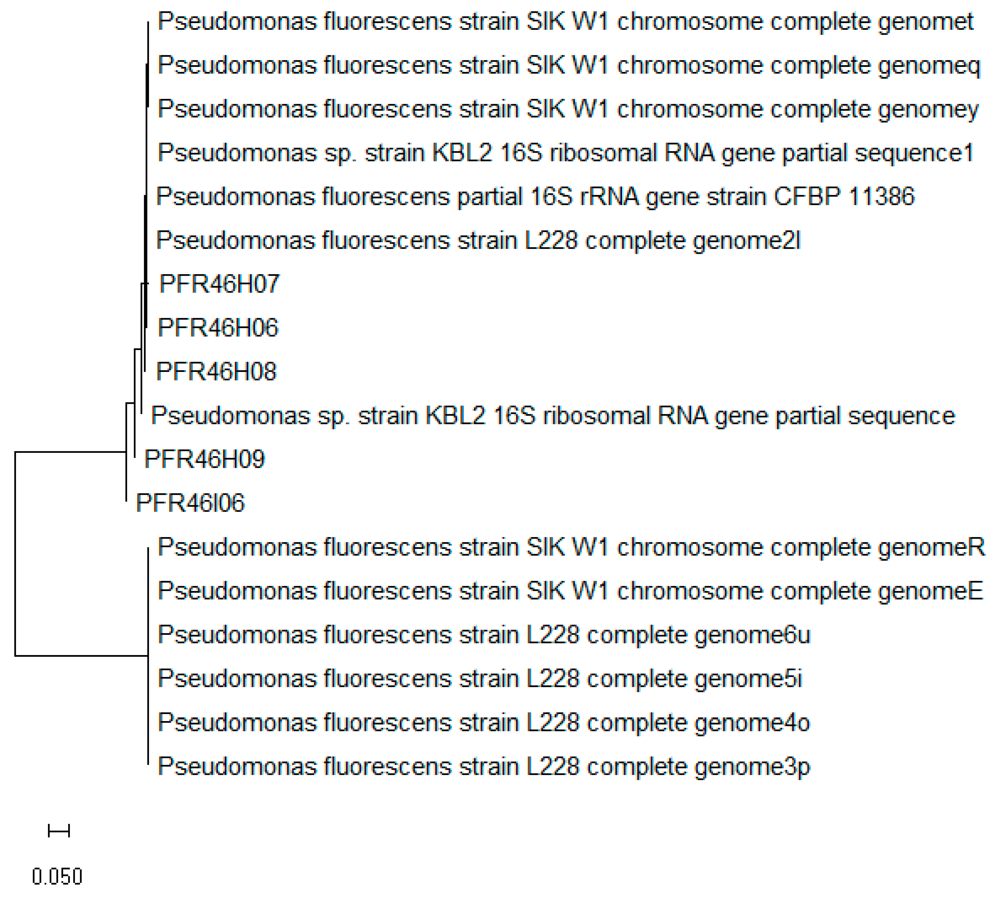 Pathogens 12 00349 g001 Pathogens 12 00349 g001