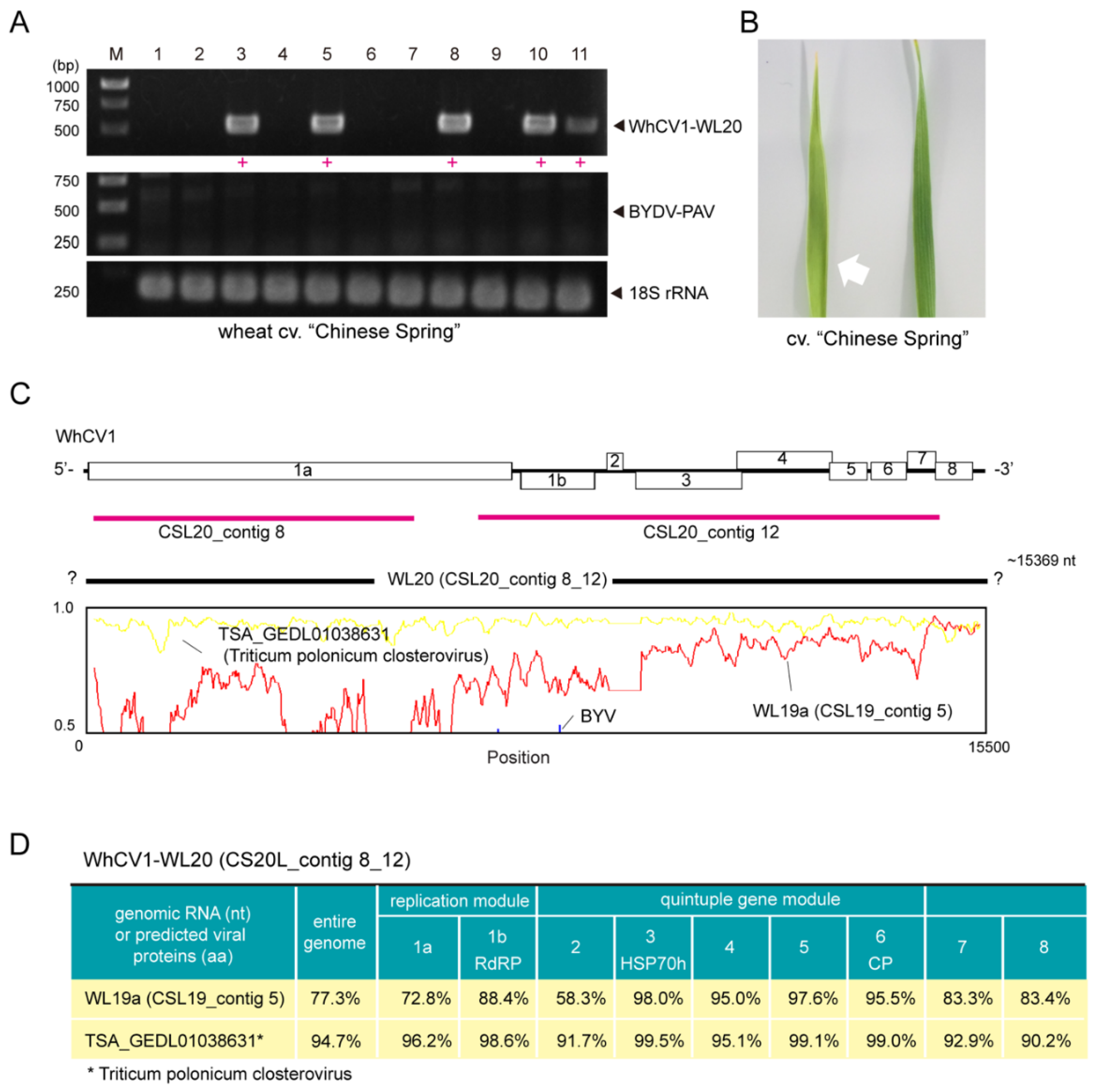 Pathogens 12 00358 g003 Pathogens 12 00358 g003