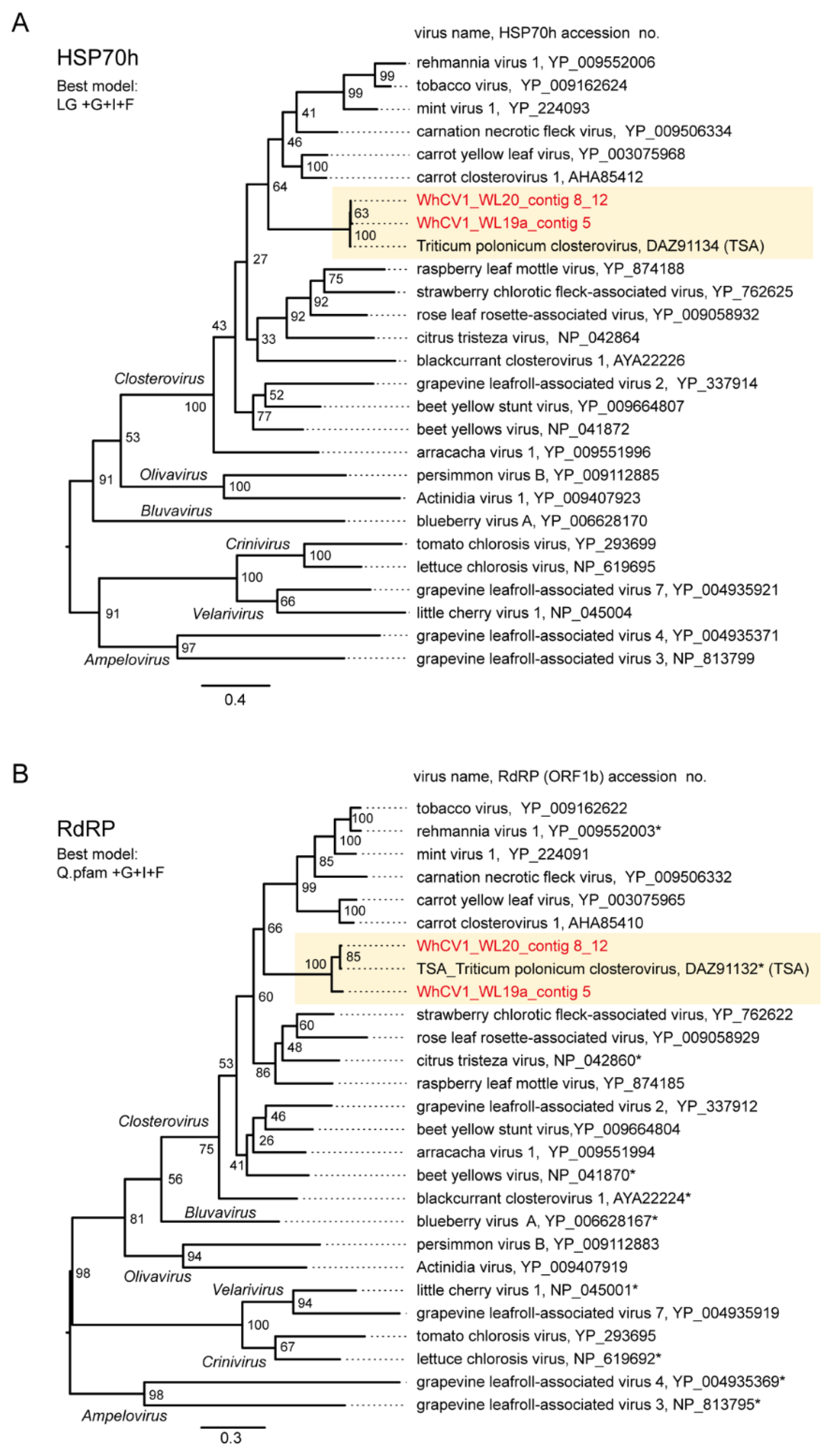 Pathogens 12 00358 g004a Pathogens 12 00358 g004a