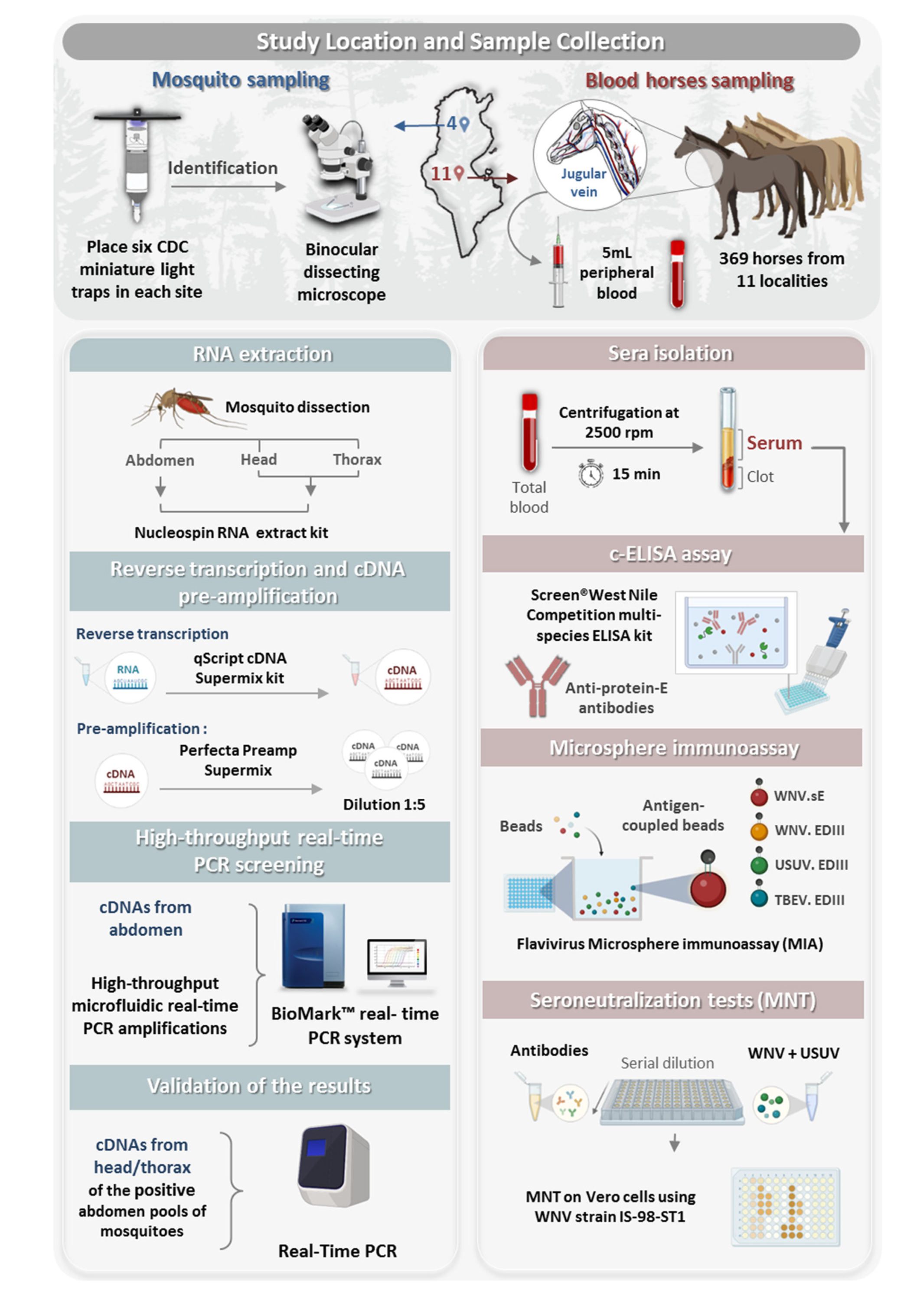 Pathogens 12 00360 g001 Pathogens 12 00360 g001