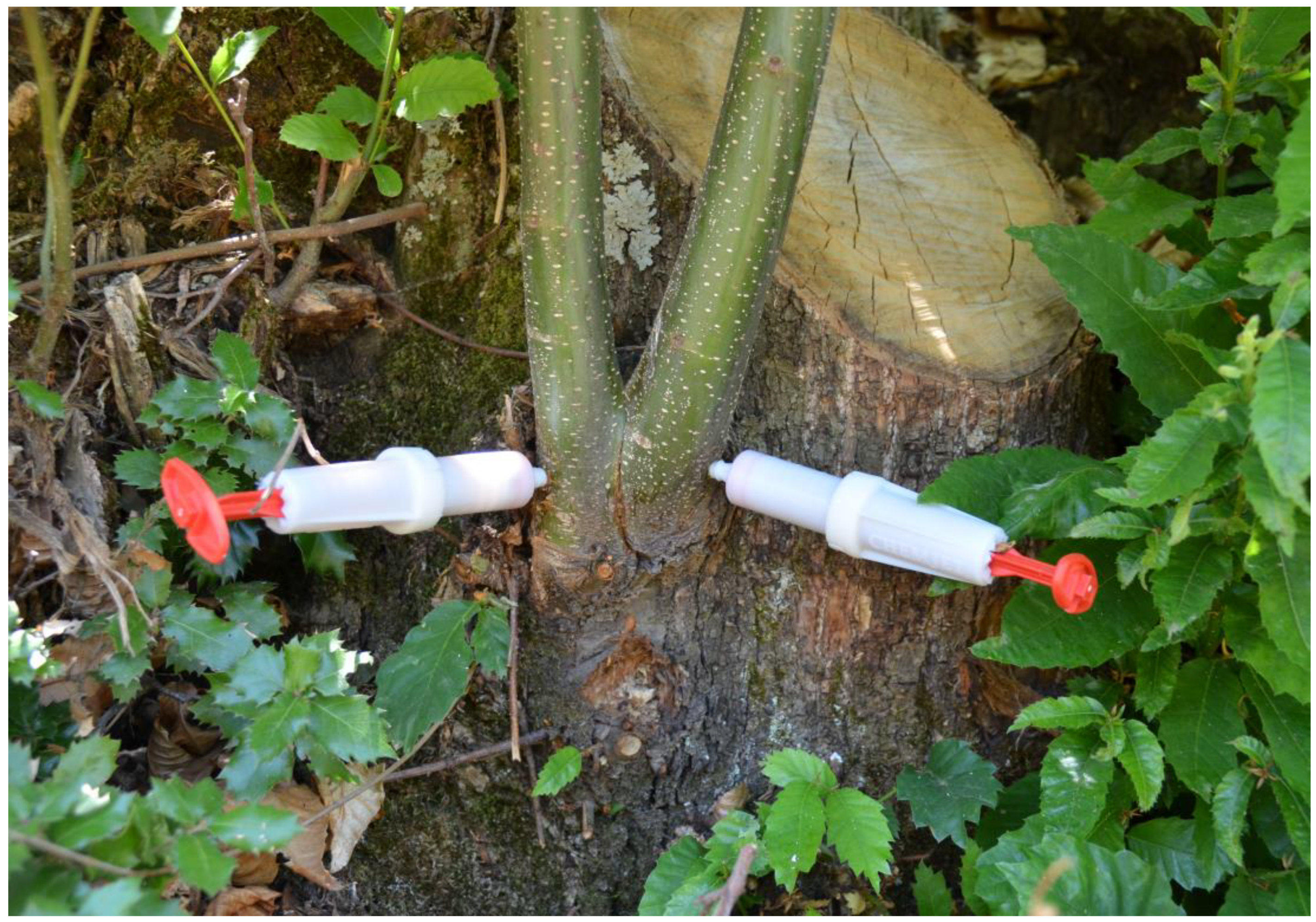 Pathogens 12 00365 g003 Pathogens 12 00365 g003