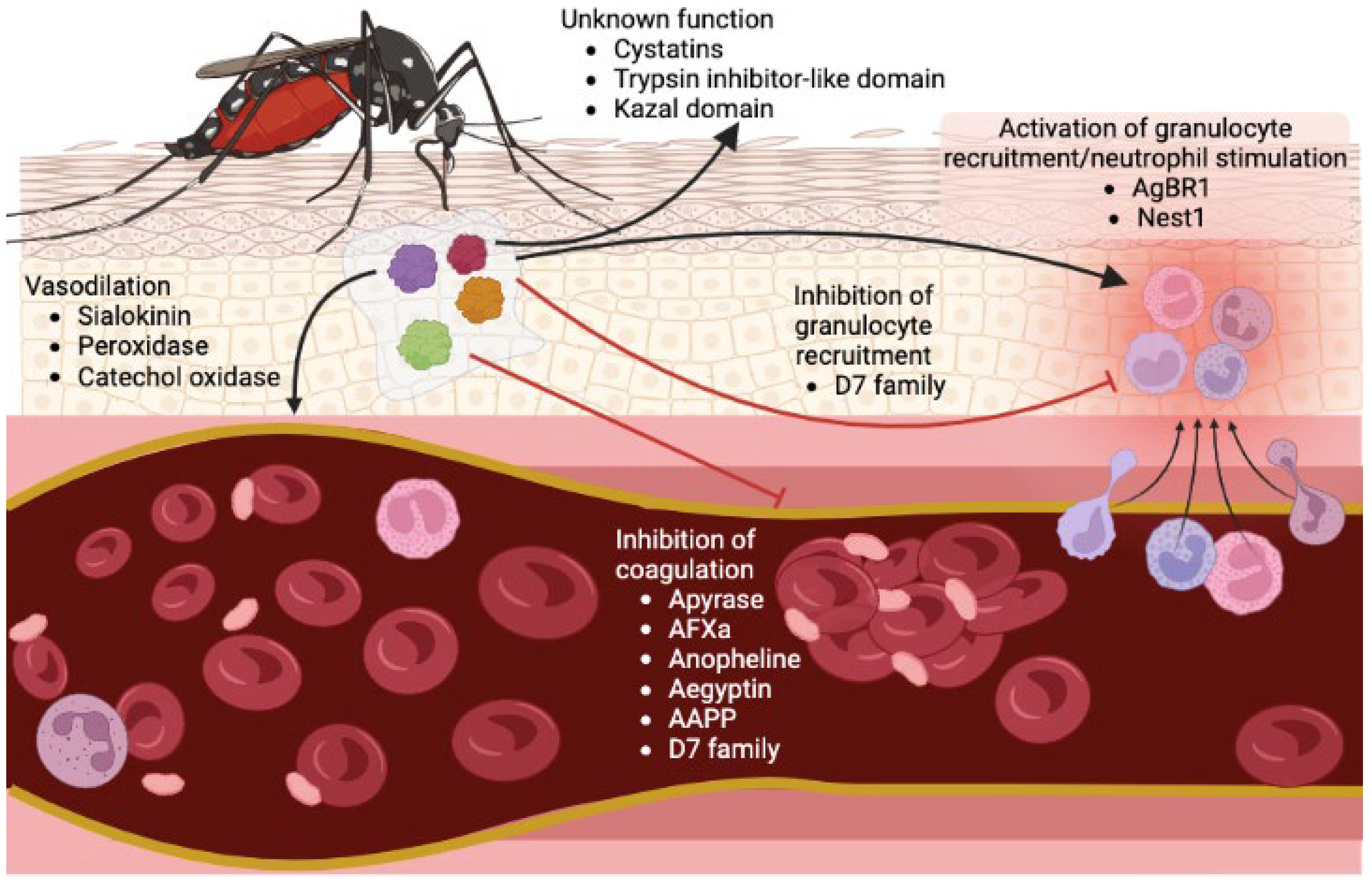 Pathogens, Free Full-Text