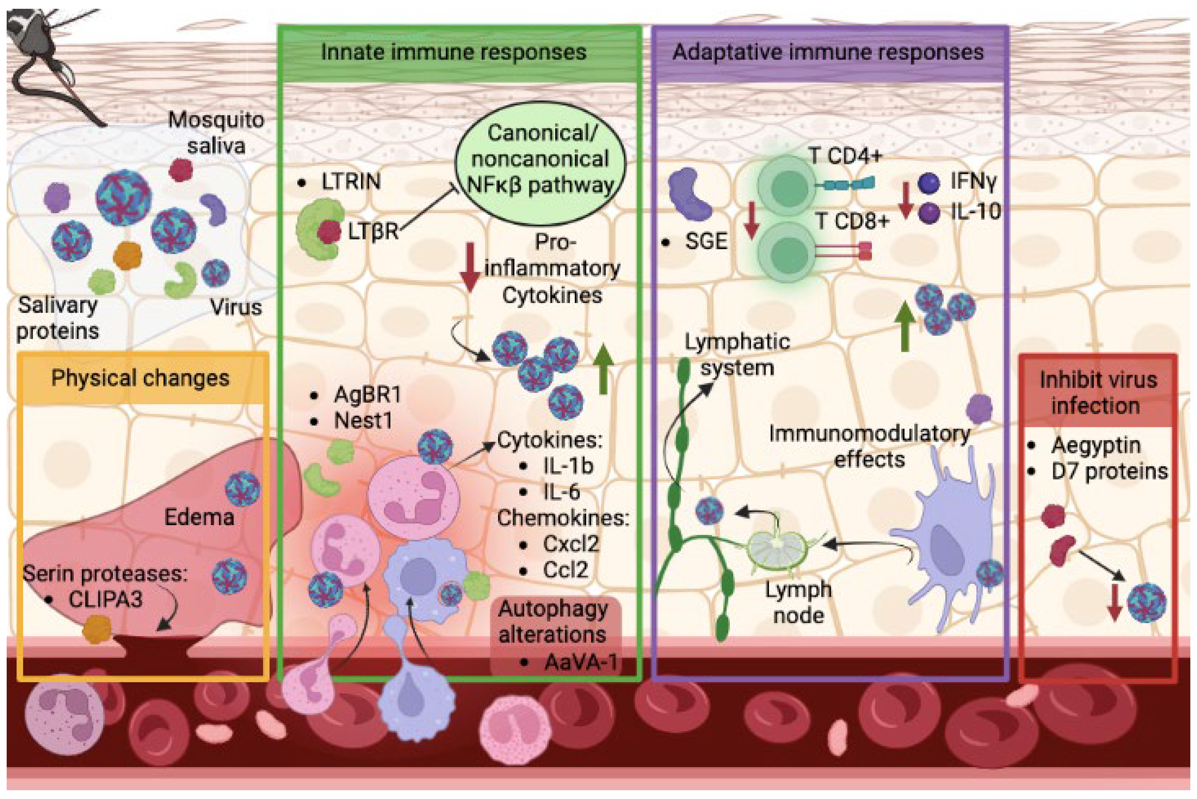 Pathogens 12 00371 g002 Pathogens 12 00371 g002
