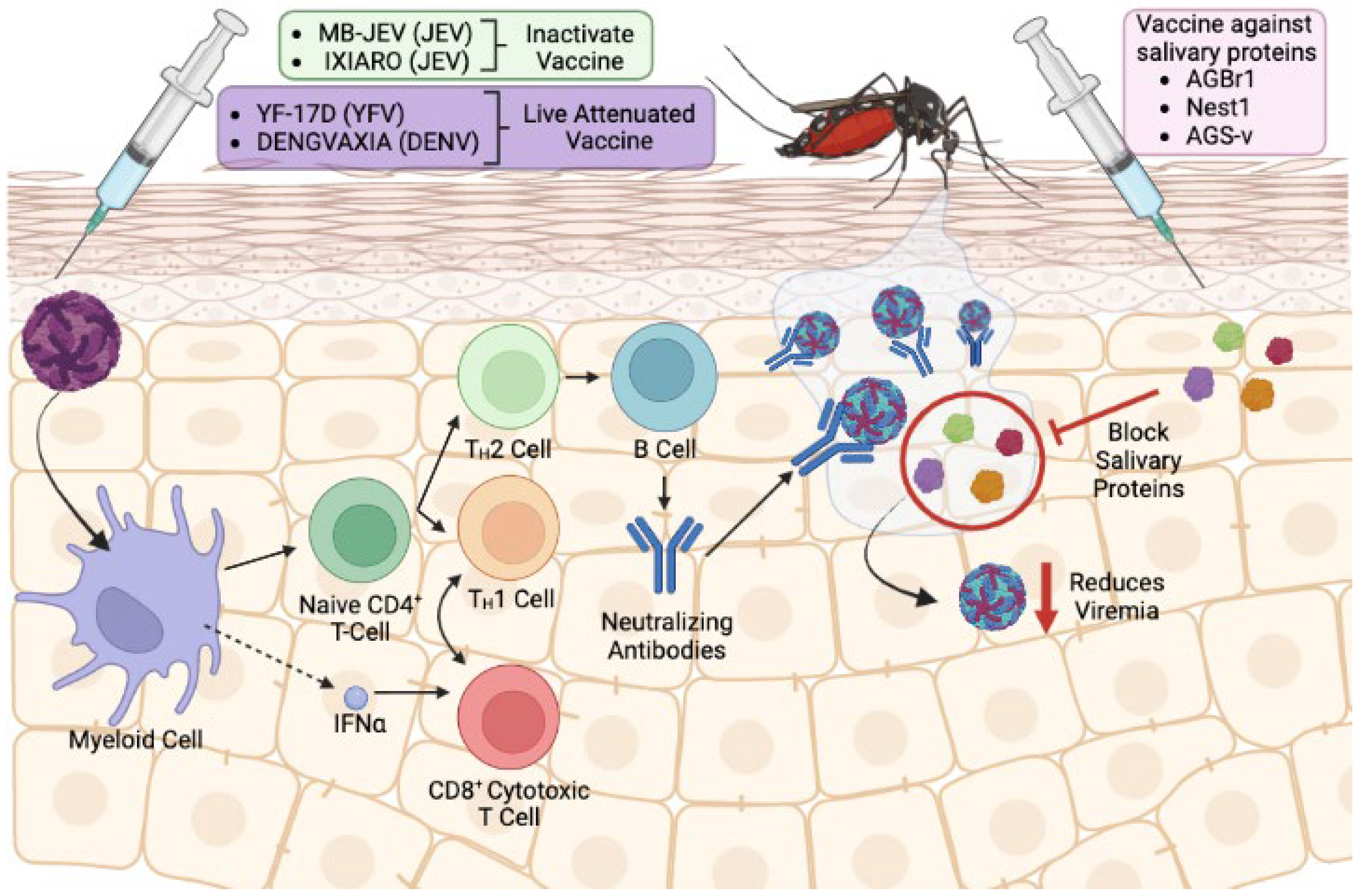 Pathogens 12 00371 g003 Pathogens 12 00371 g003