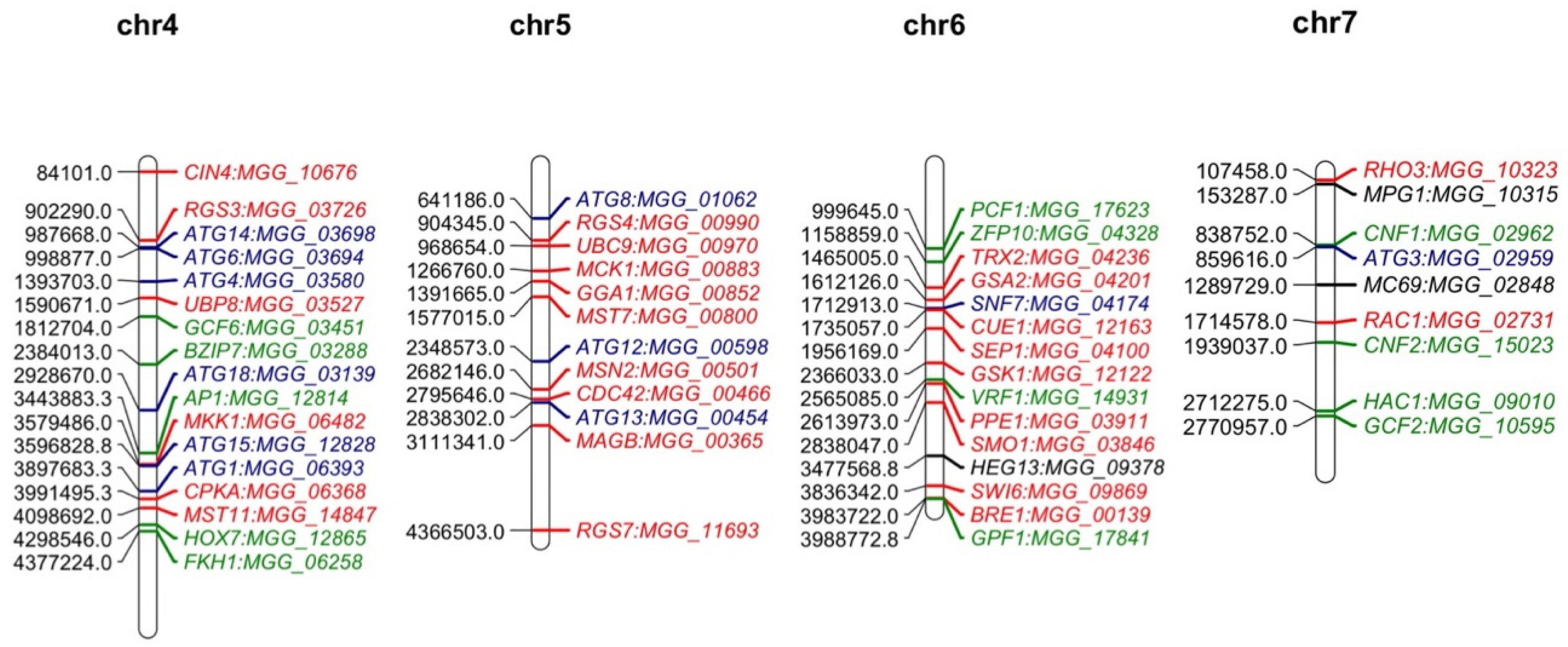 Pathogens 12 00379 g002b Pathogens 12 00379 g002b