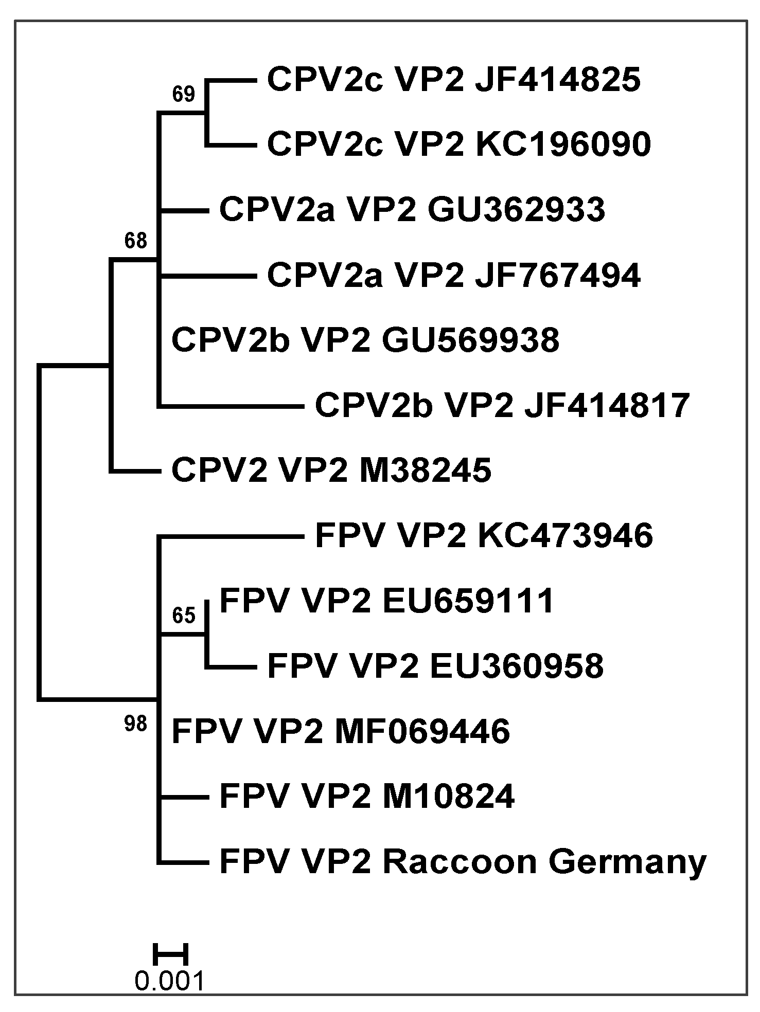 Pathogens 12 00389 g002