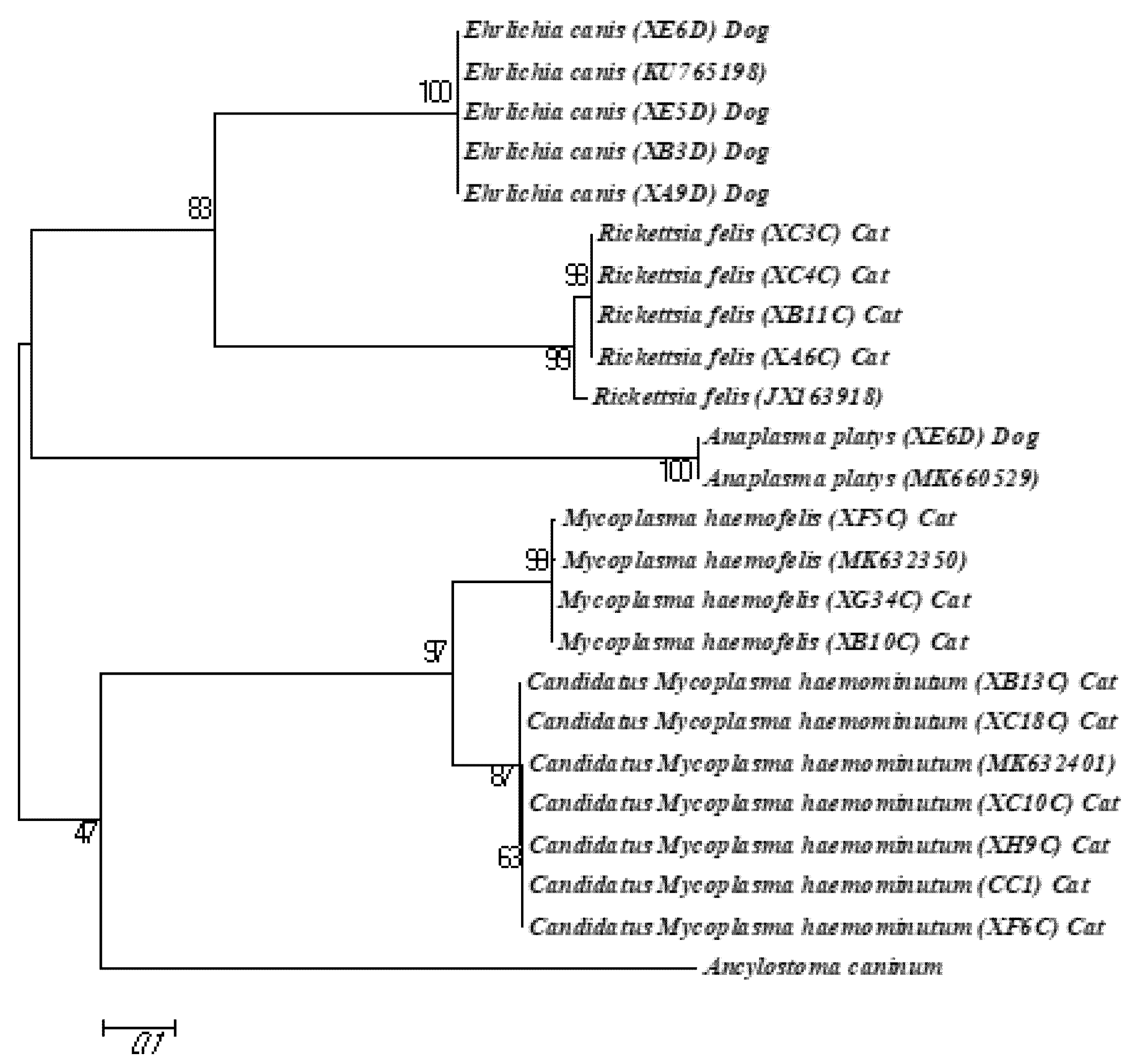 Pathogens 12 00391 g002 Pathogens 12 00391 g002