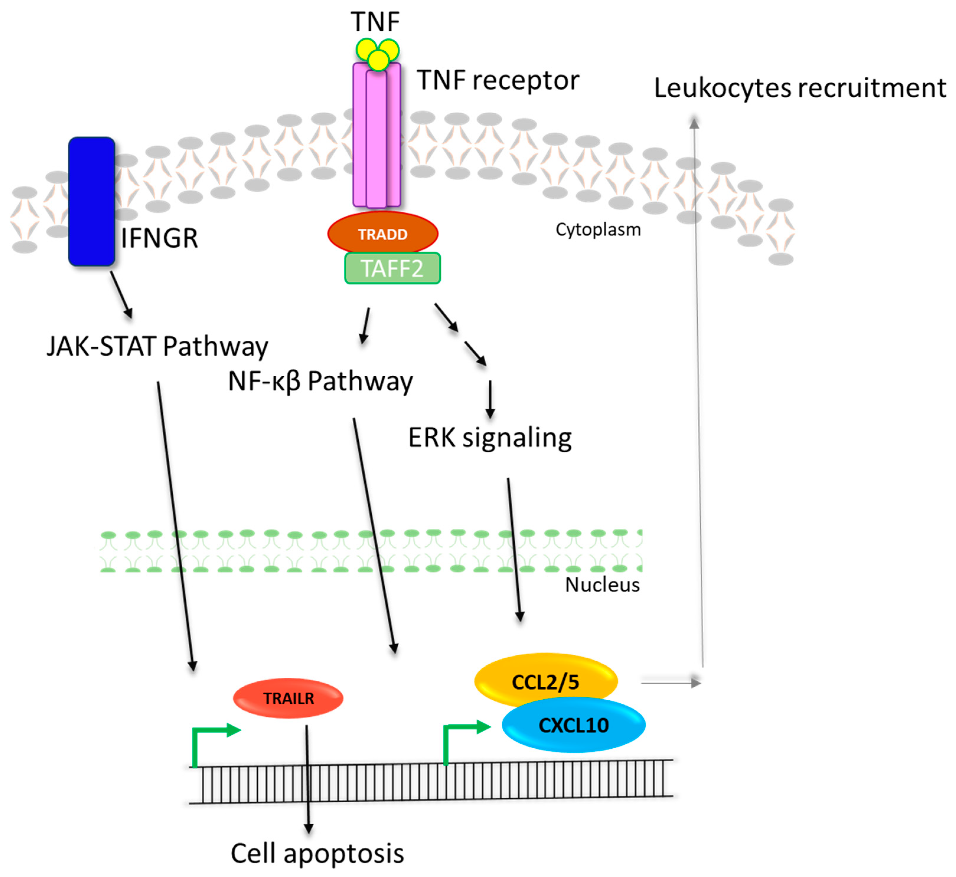 Pathogens 12 00392 g008