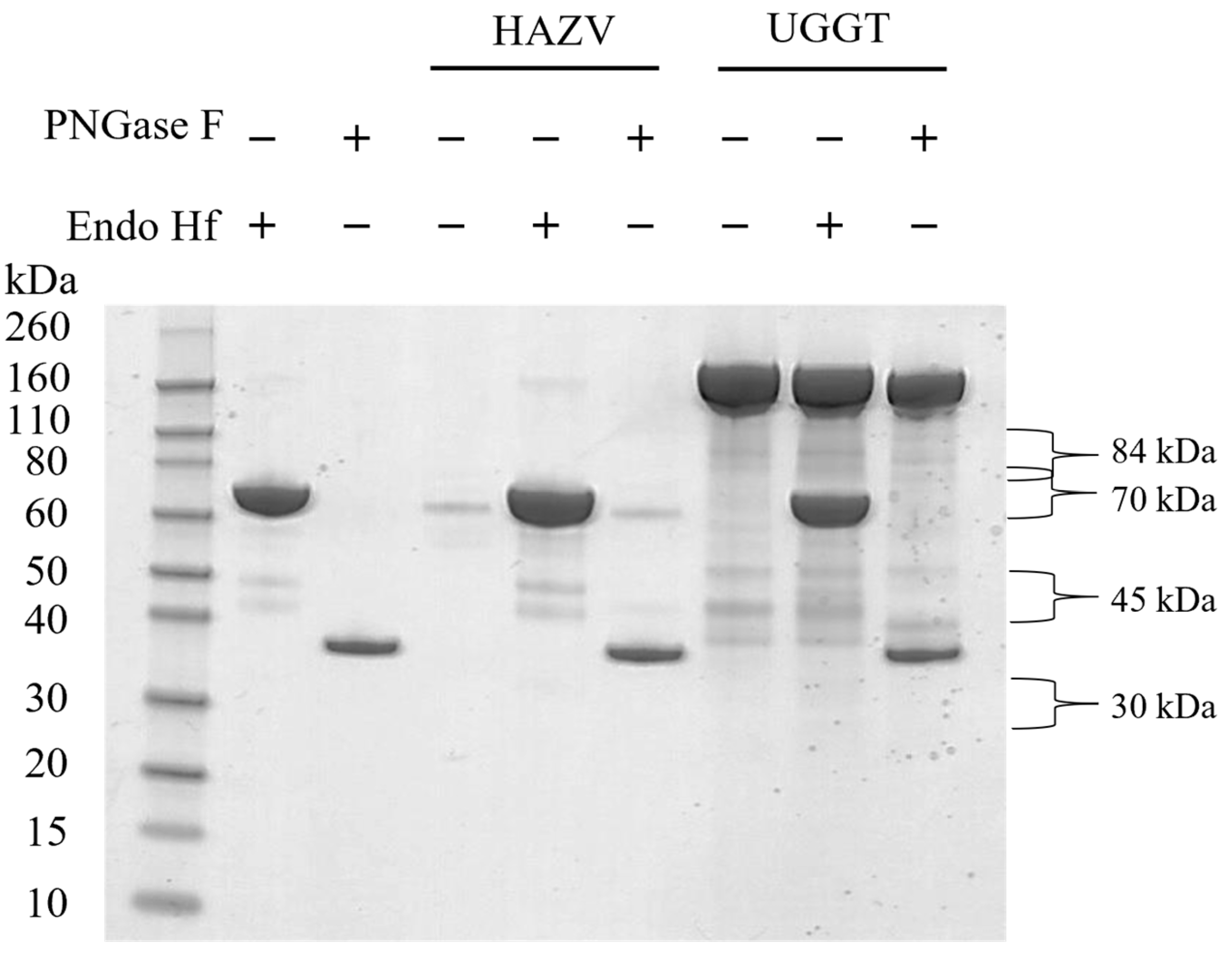 Pathogens 12 00399 g001