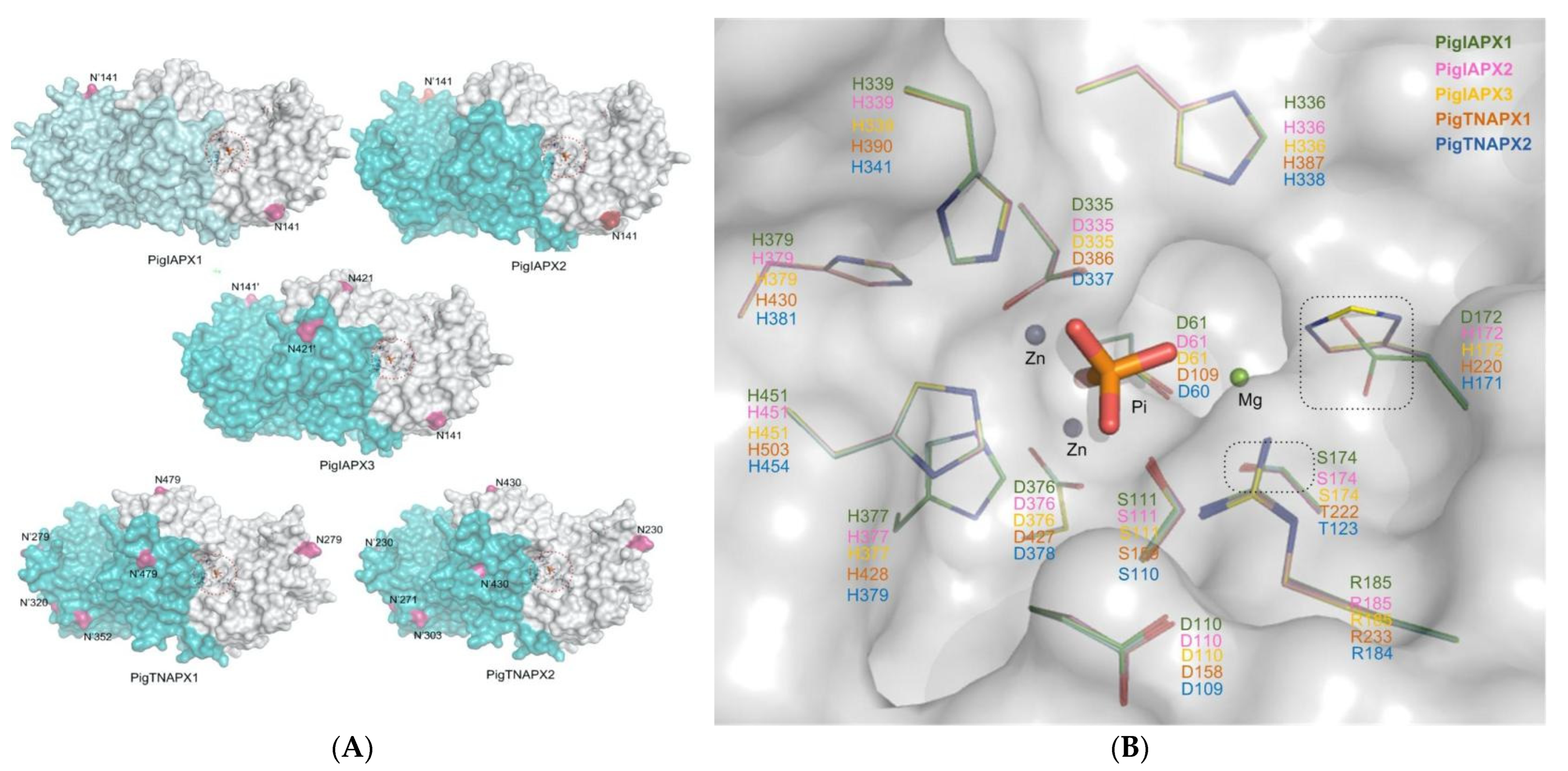 Pathogens 12 00407 g004 Pathogens 12 00407 g004