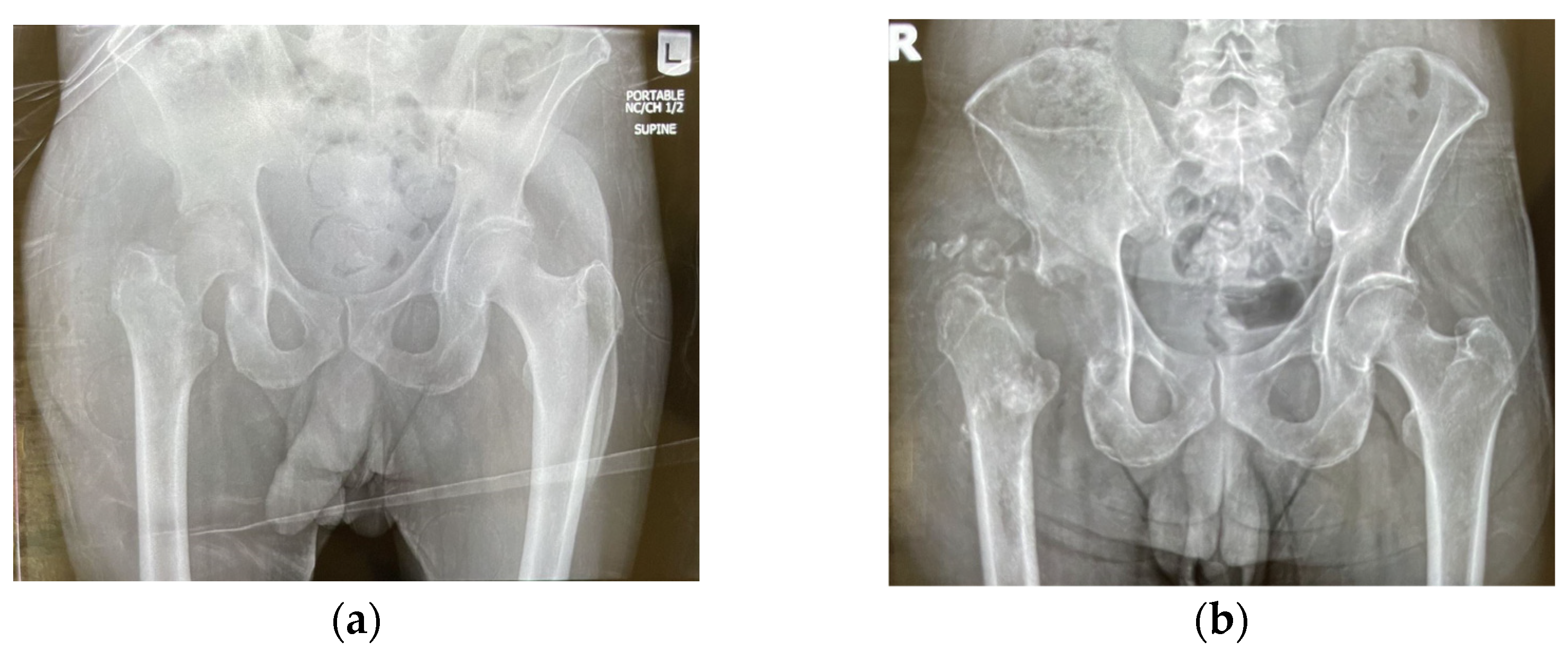Pathogens 12 00408 g002 Pathogens 12 00408 g002
