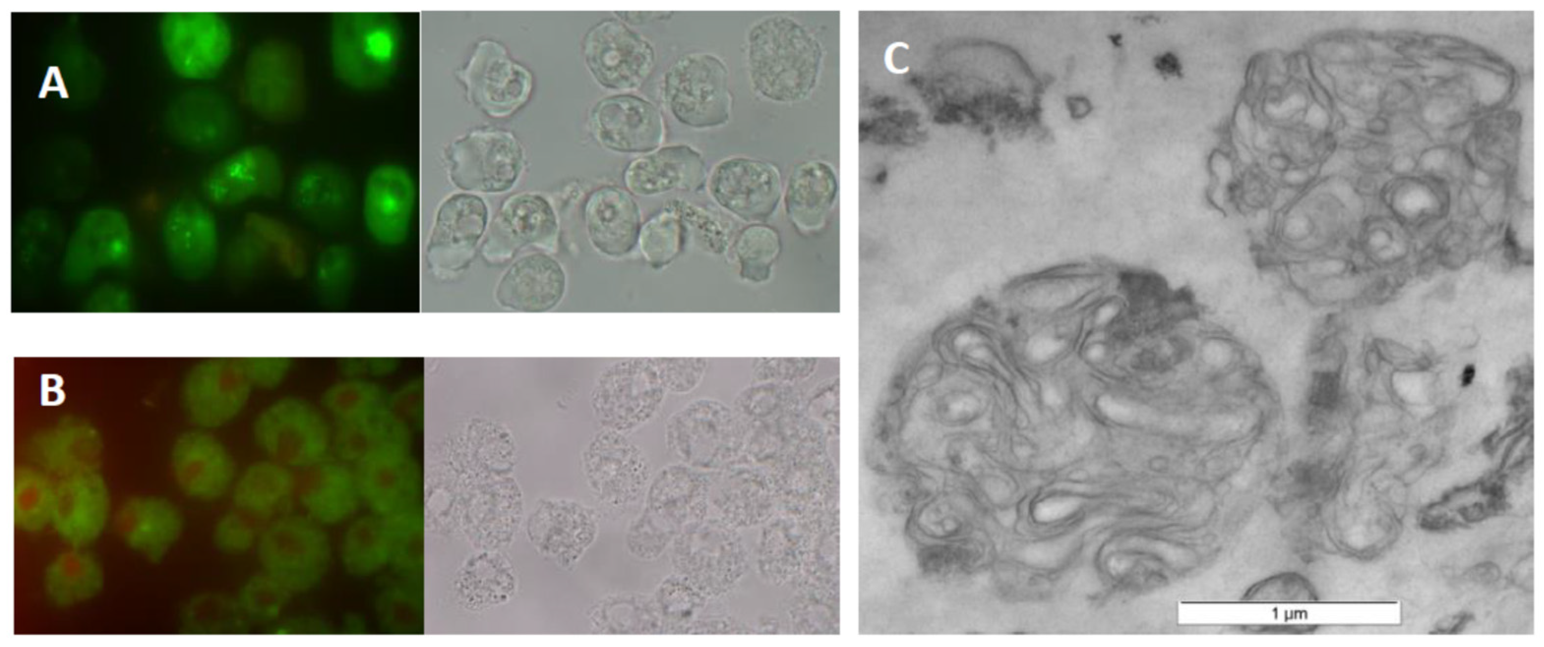Pathogens 12 00411 g001