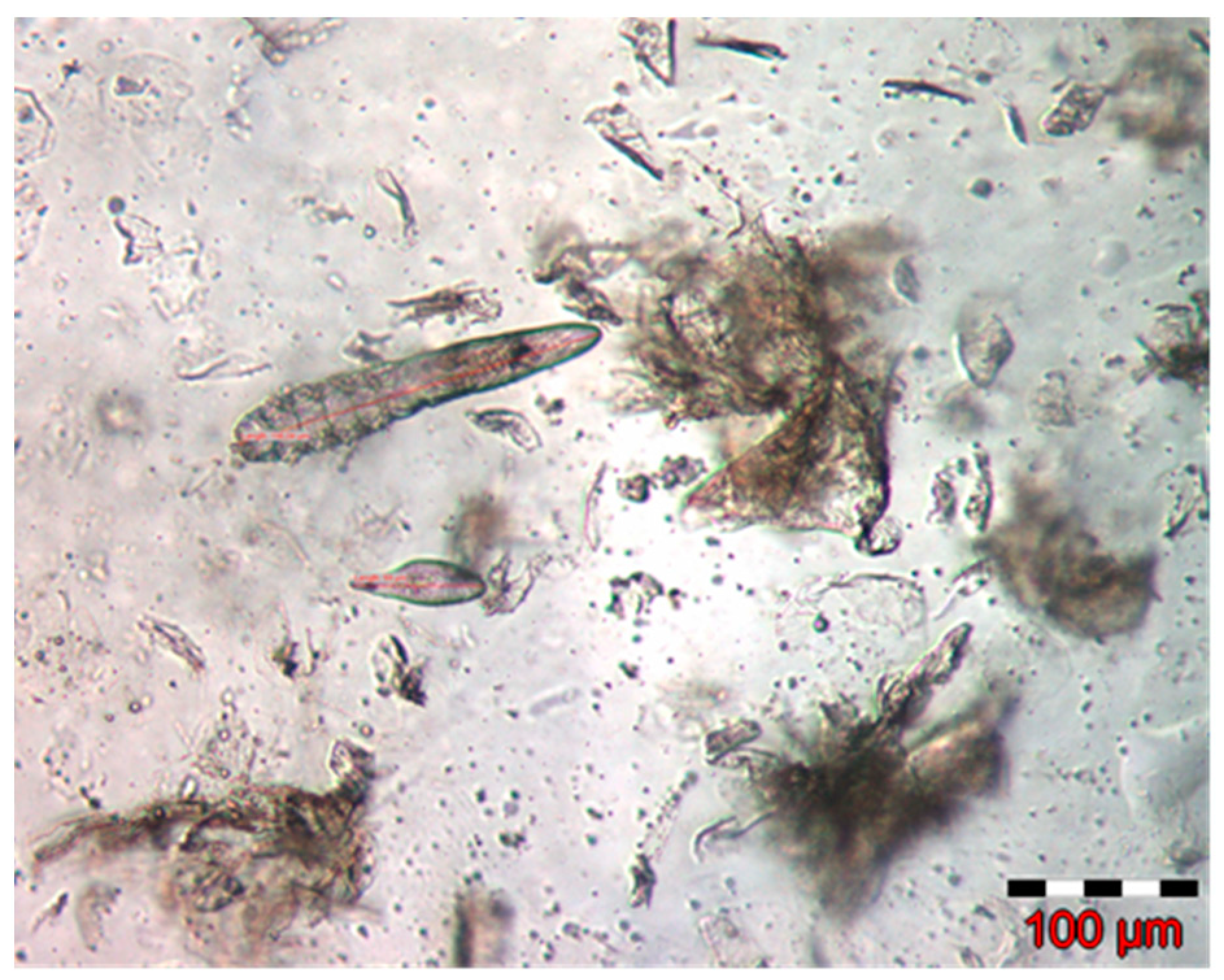 Pathogens 12 00412 g002 Pathogens 12 00412 g002