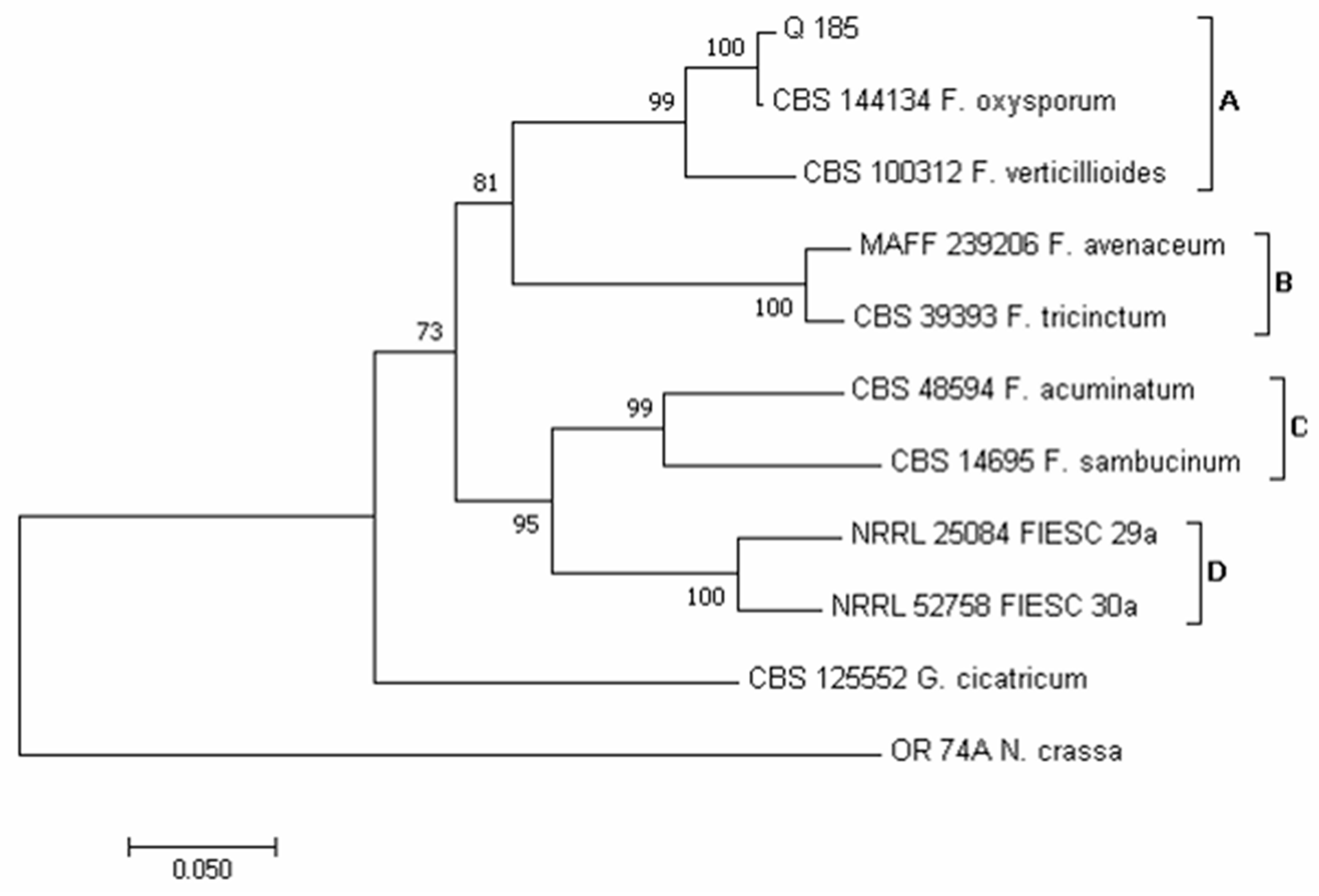 Pathogens 12 00418 g008 Pathogens 12 00418 g008