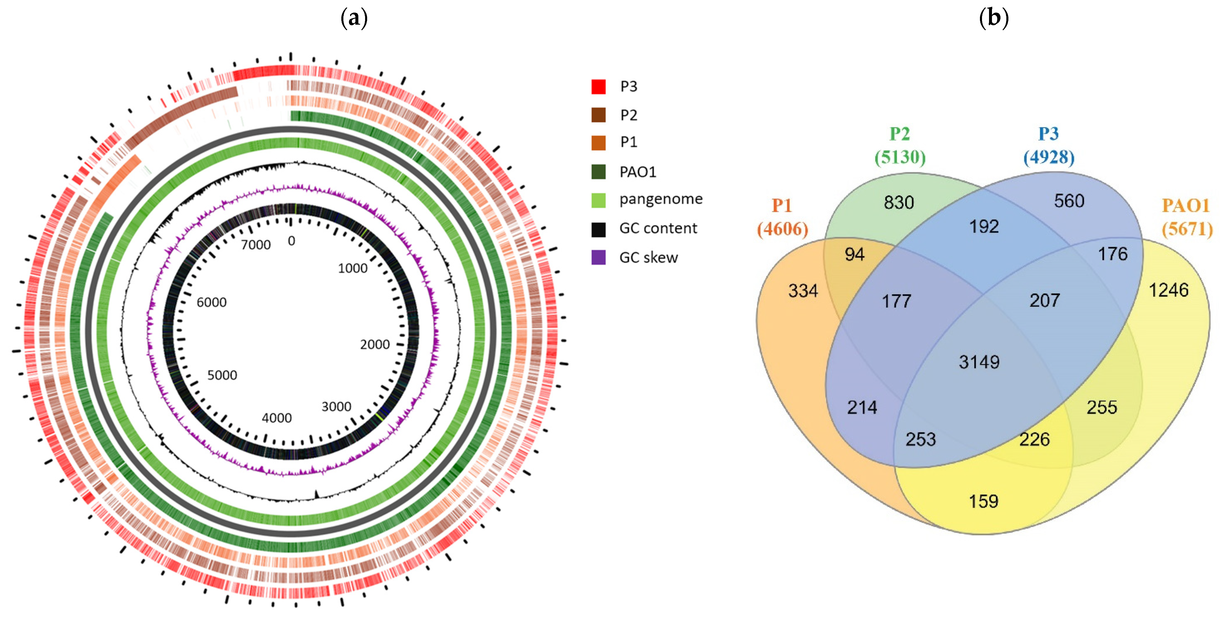 Pathogens 12 00426 g004