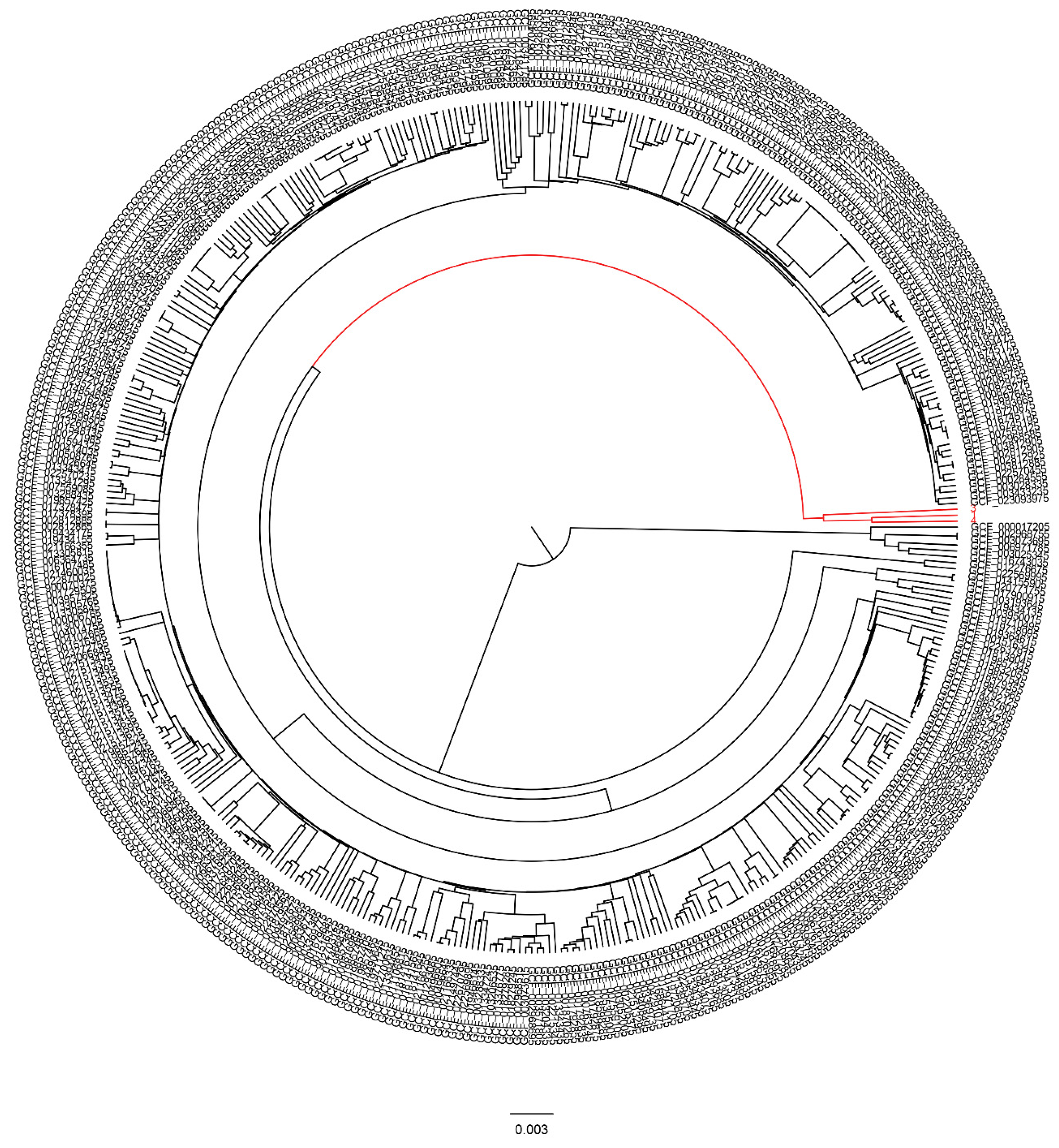 Pathogens 12 00426 g006