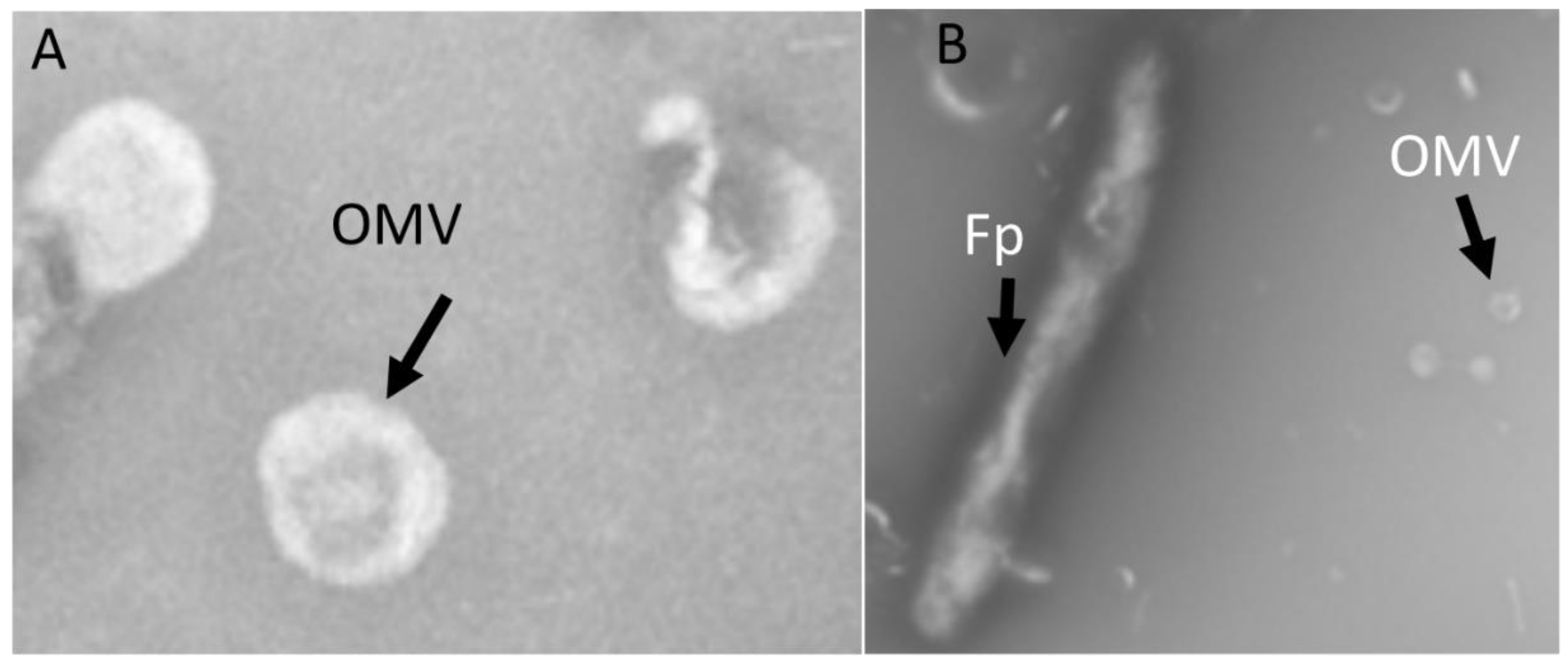 Pathogens 12 00436 g001 Pathogens 12 00436 g001