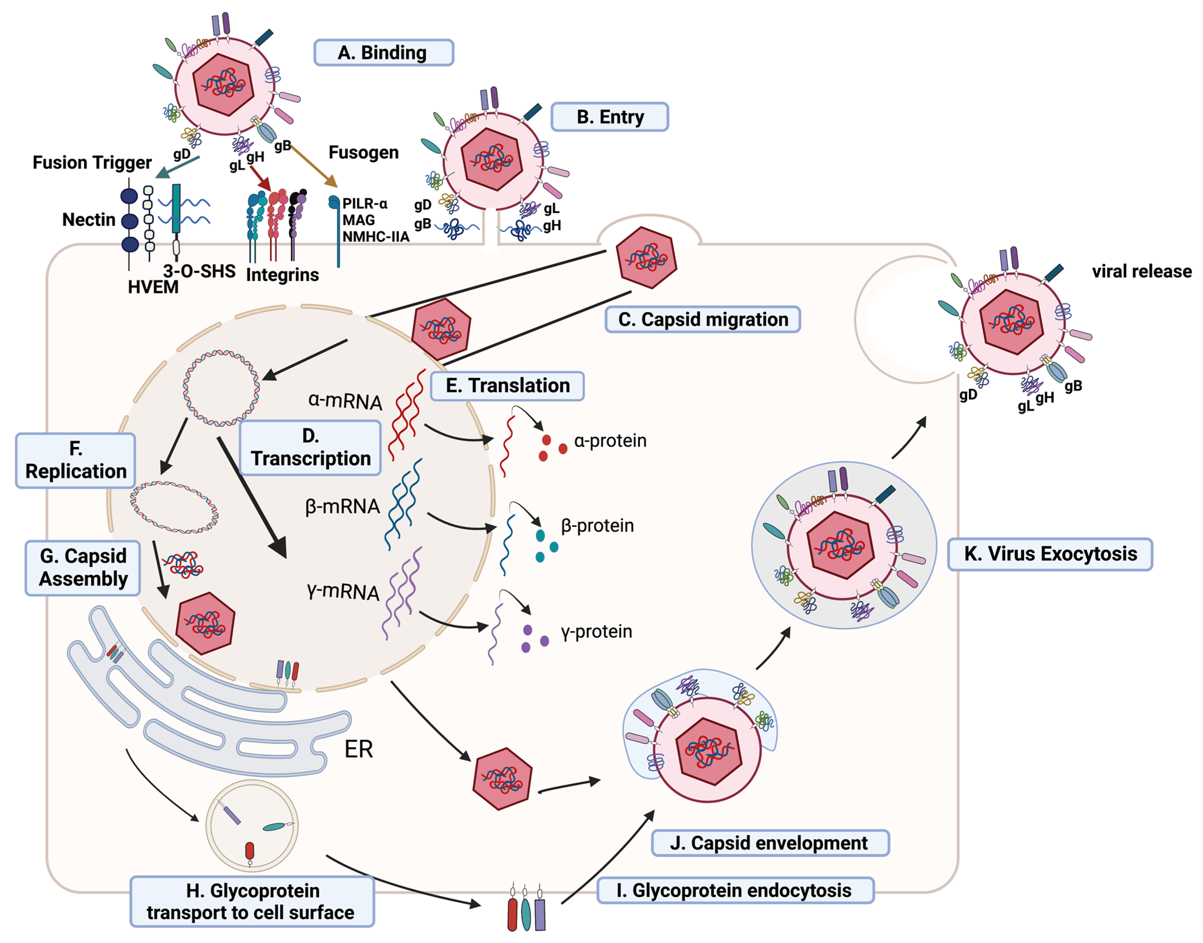 Pathogens 12 00437 g001 Pathogens 12 00437 g001