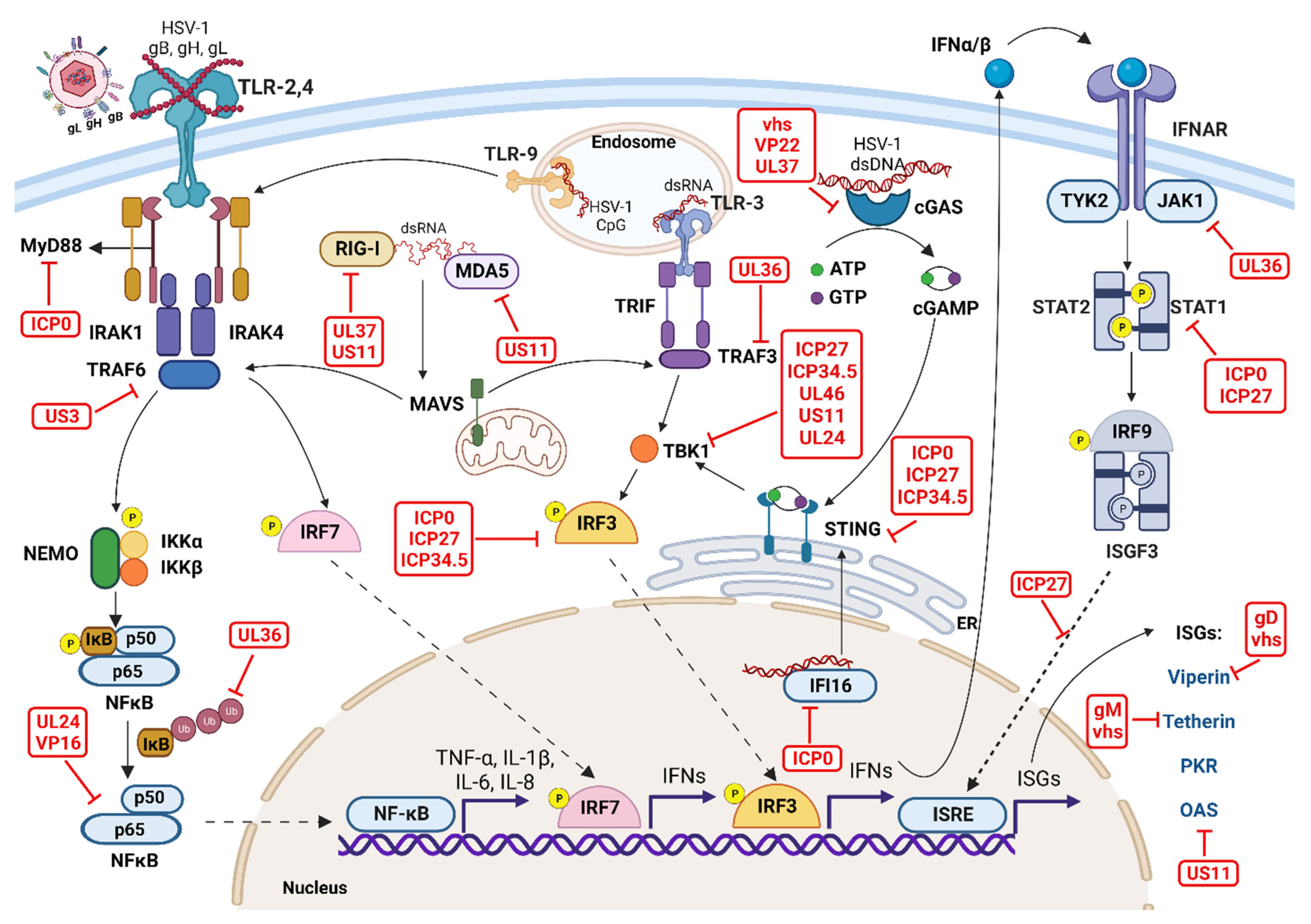 Pathogens 12 00437 g004 Pathogens 12 00437 g004