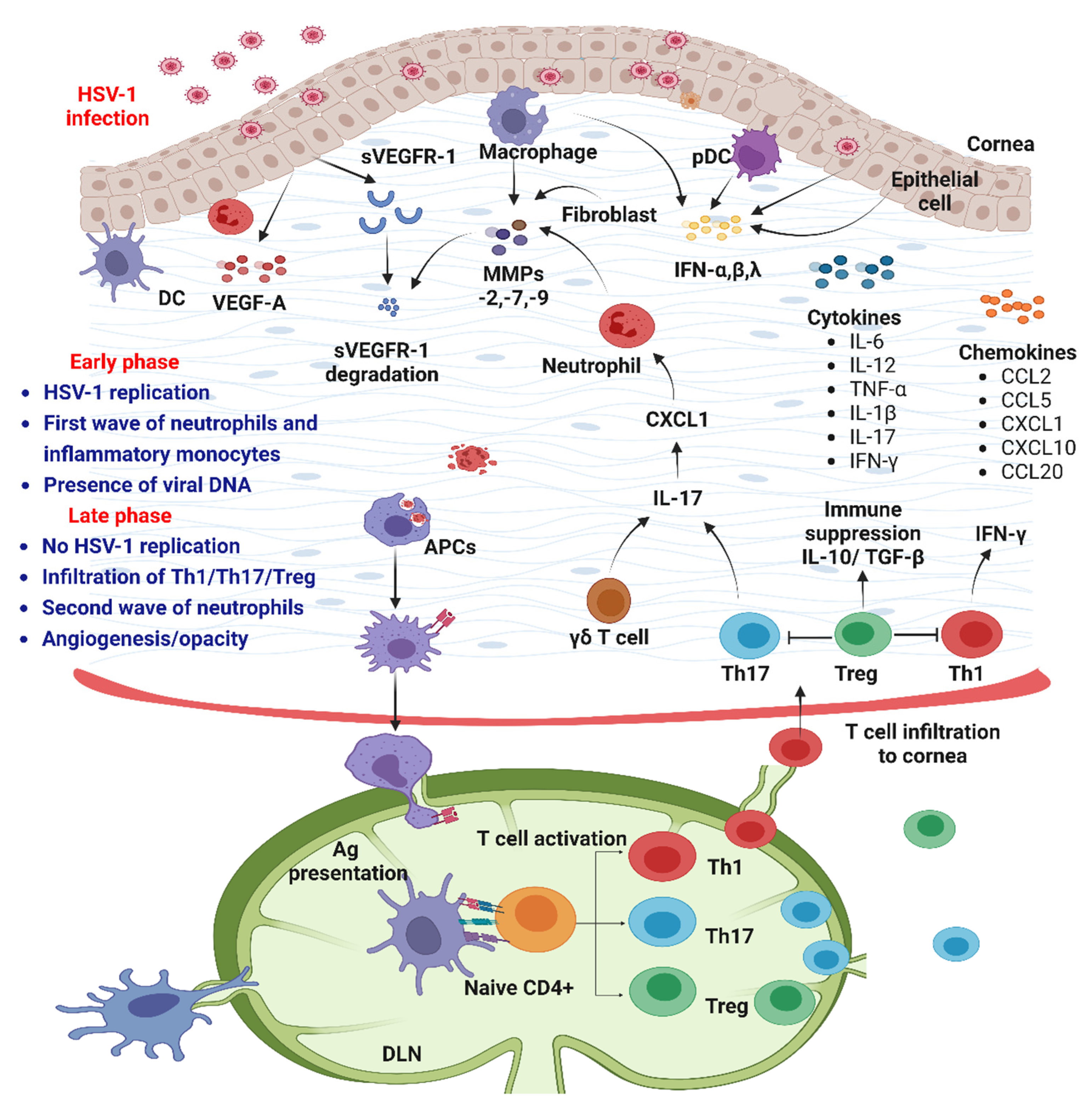 Pathogens 12 00437 g005 Pathogens 12 00437 g005