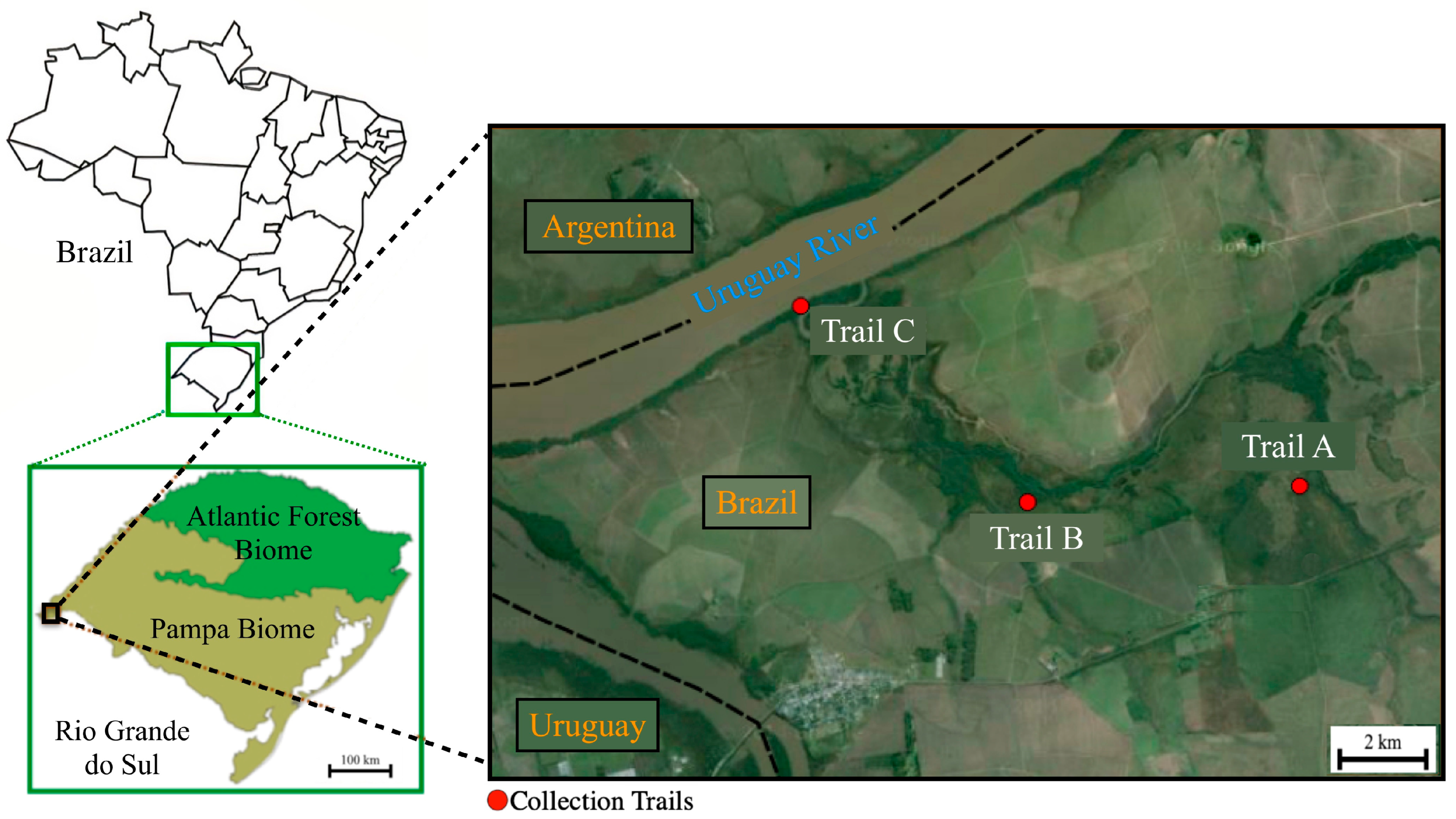 Pathogens 12 00446 g001 Pathogens 12 00446 g001