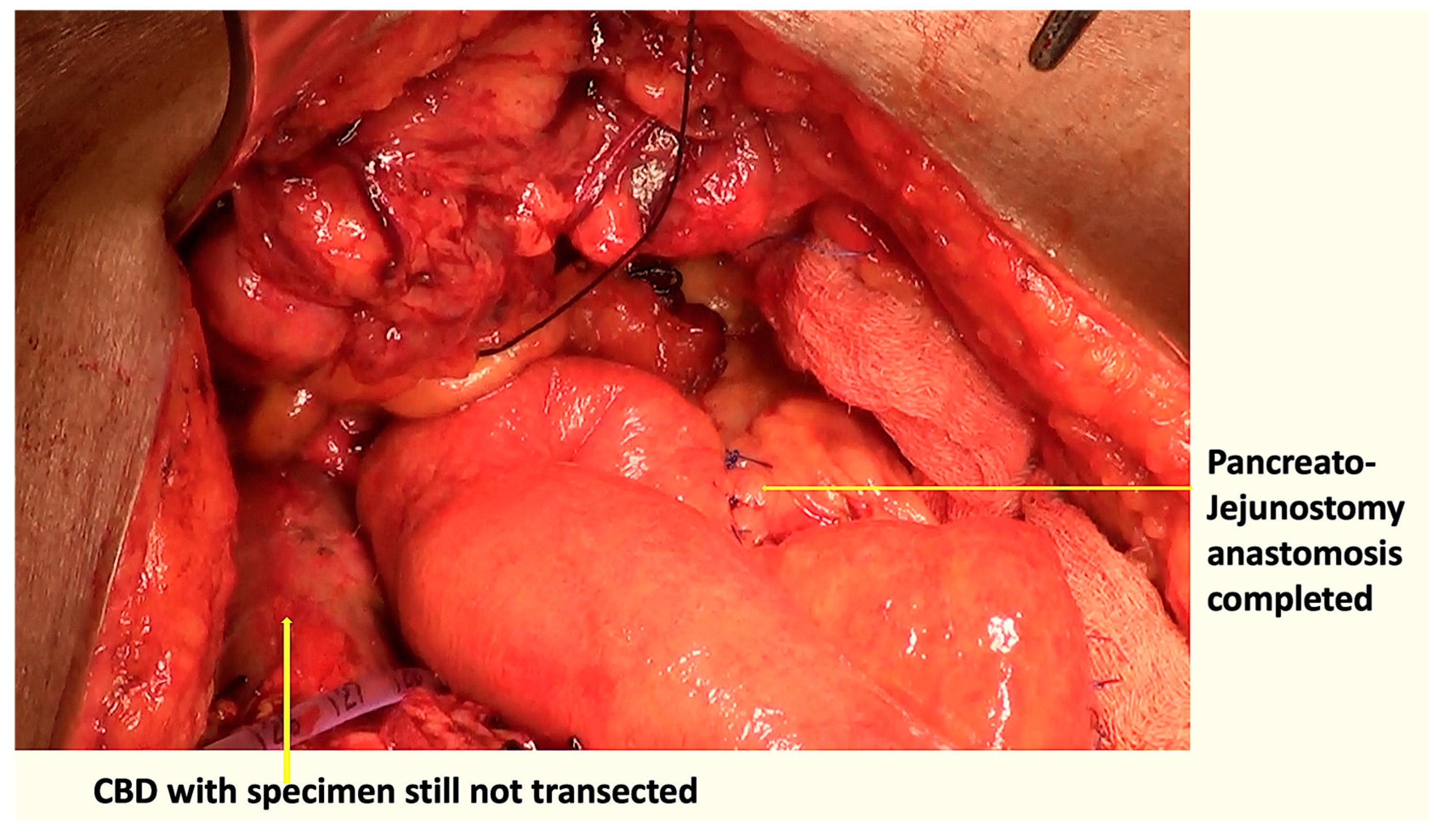 Pathogens 12 00448 g003 Pathogens 12 00448 g003